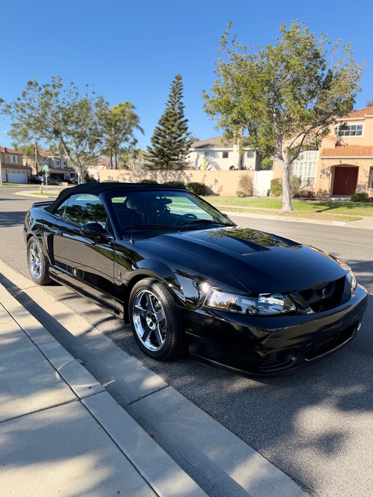 Used 2004 Ford Mustang Cobra RWD image 2