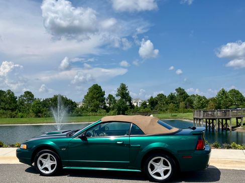 Used 2001 Ford Mustang GT RWD image 5