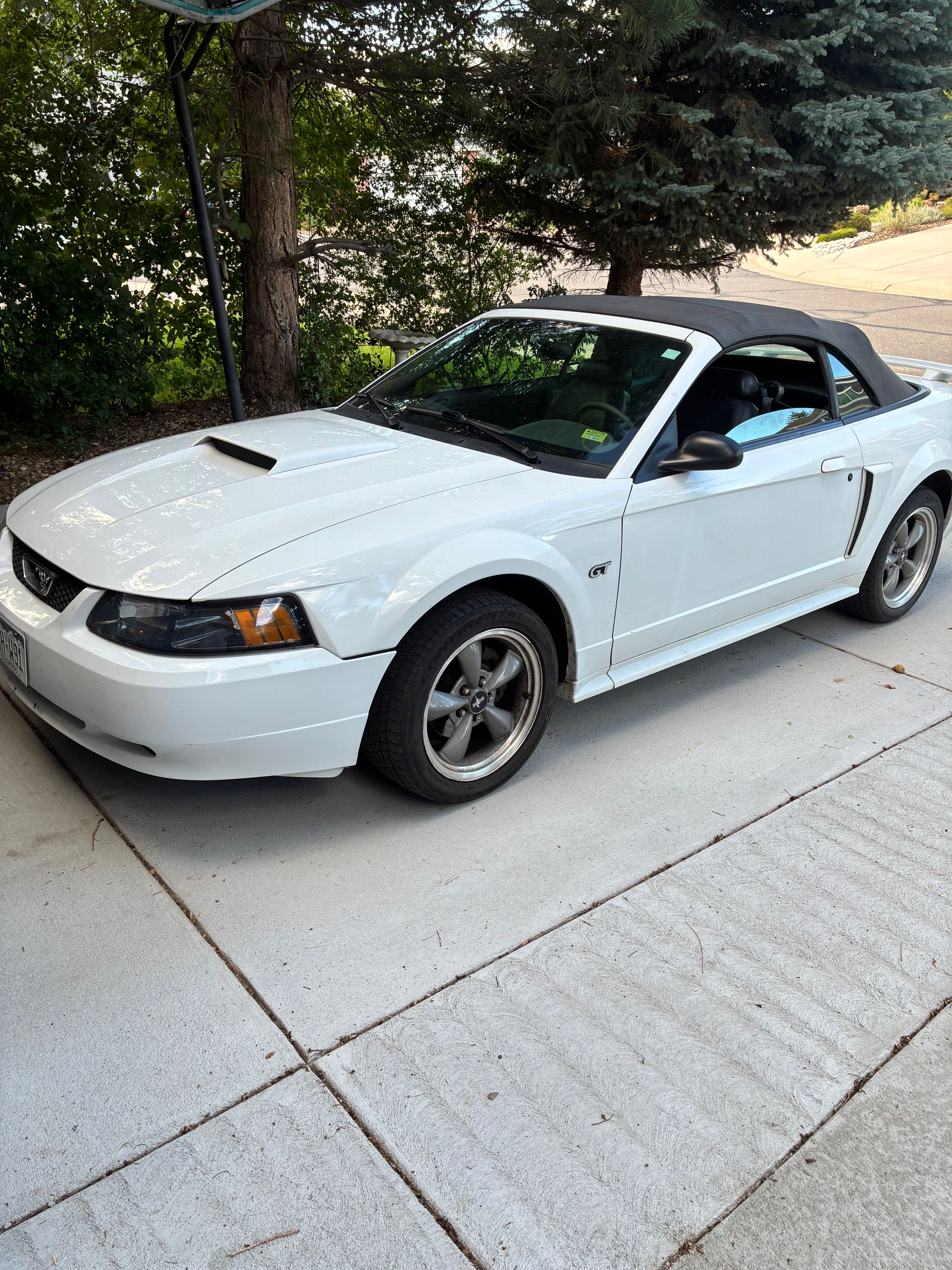 Used 2002 Ford Mustang GT Premium RWD image 1