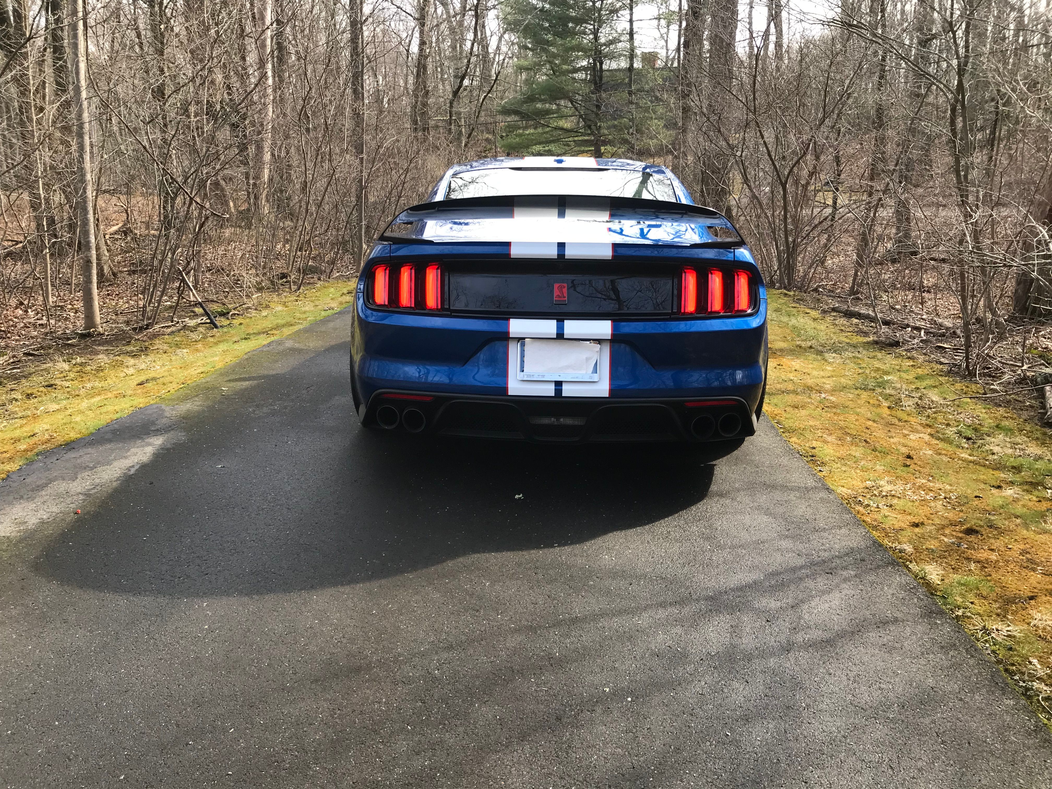 Used 2017 Ford Mustang Shelby GT350R w/ GT350R Equipment Group 920A RWD image 15