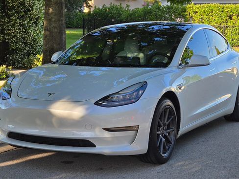 Used 2019 Tesla Model 3 Standard Range Plus image 1