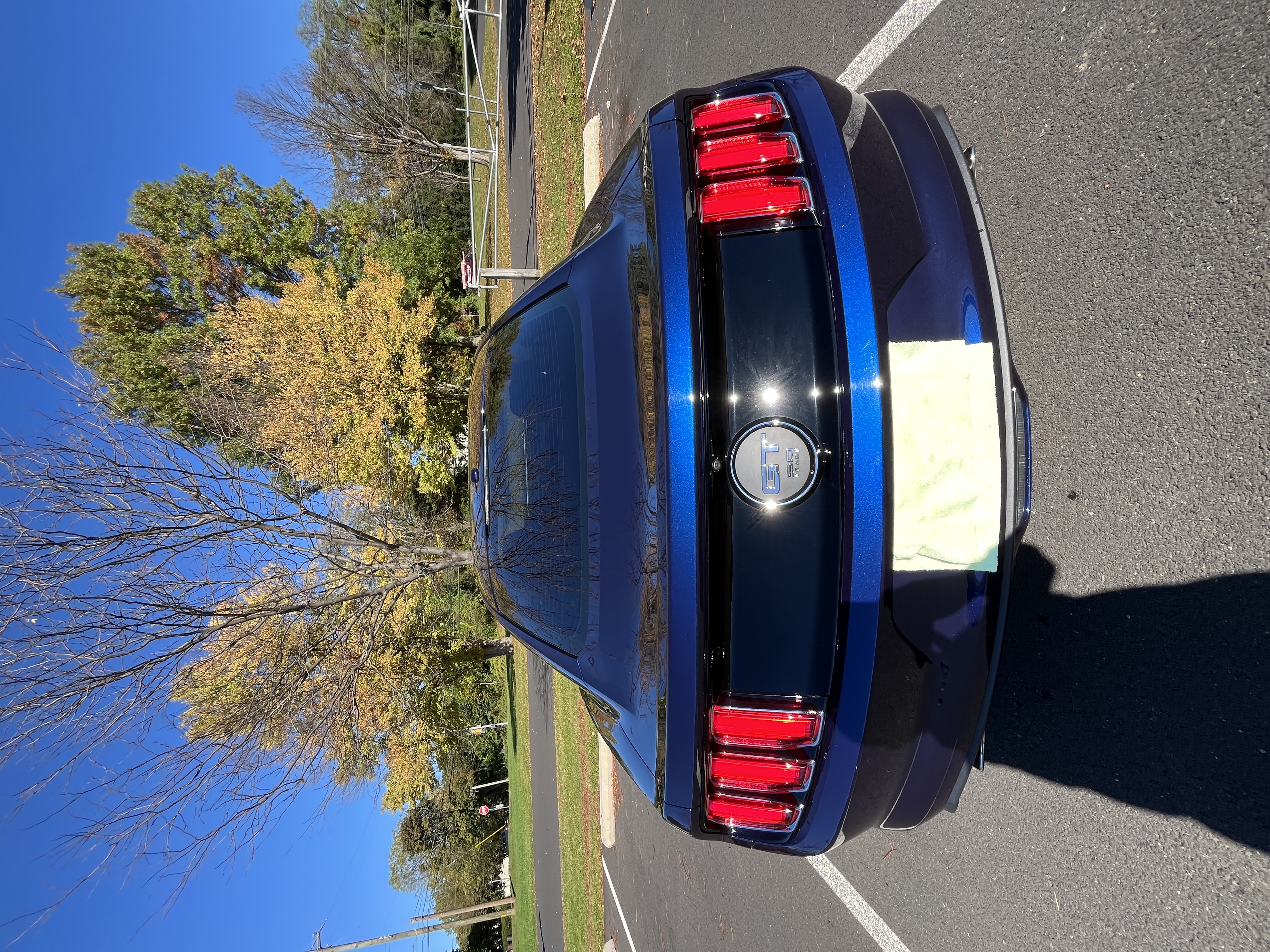 Used 2015 Ford Mustang 50 Years RWD image 10