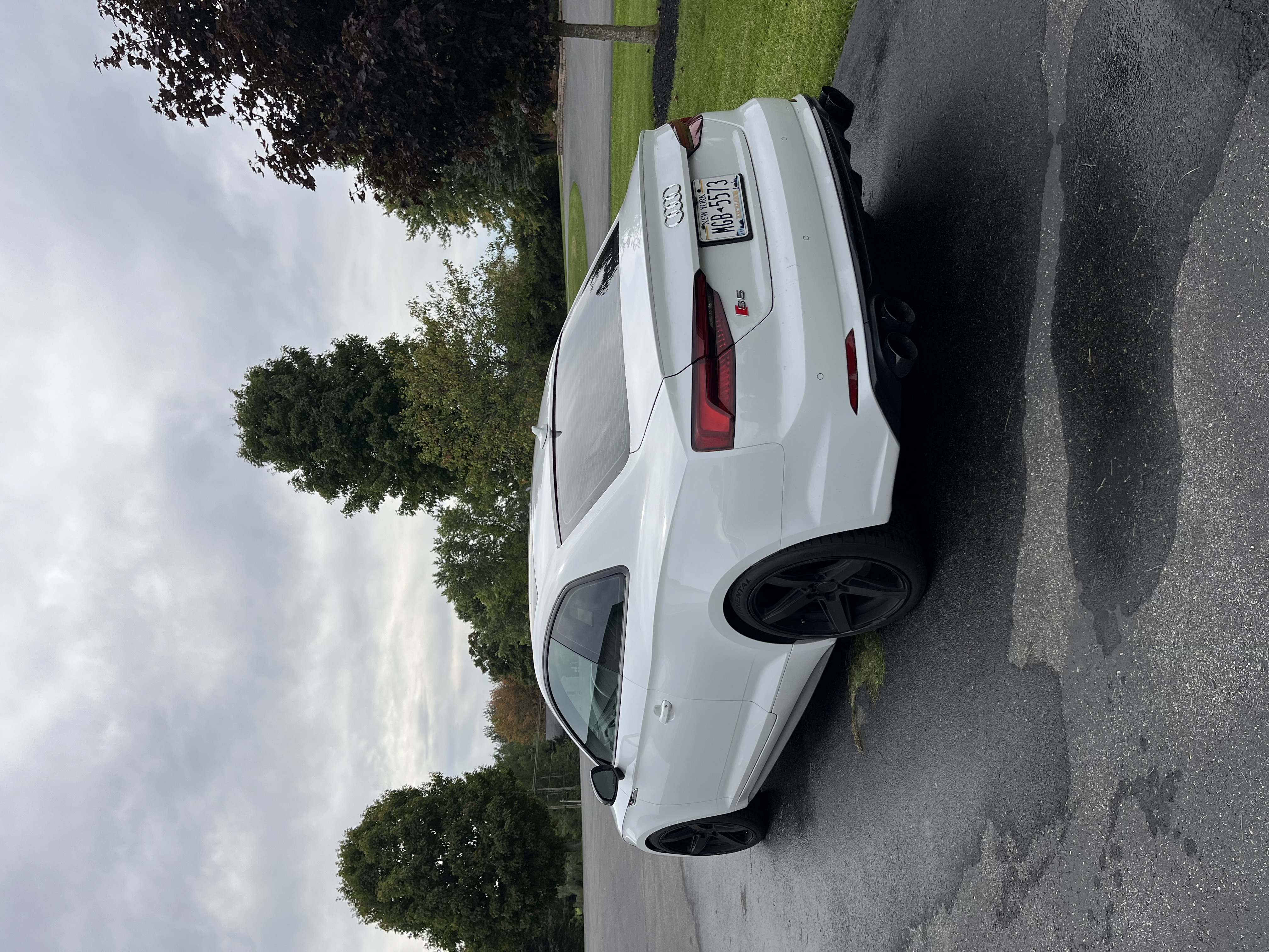 Used 2019 Audi S5 Premium Plus AWD/4WD image 8