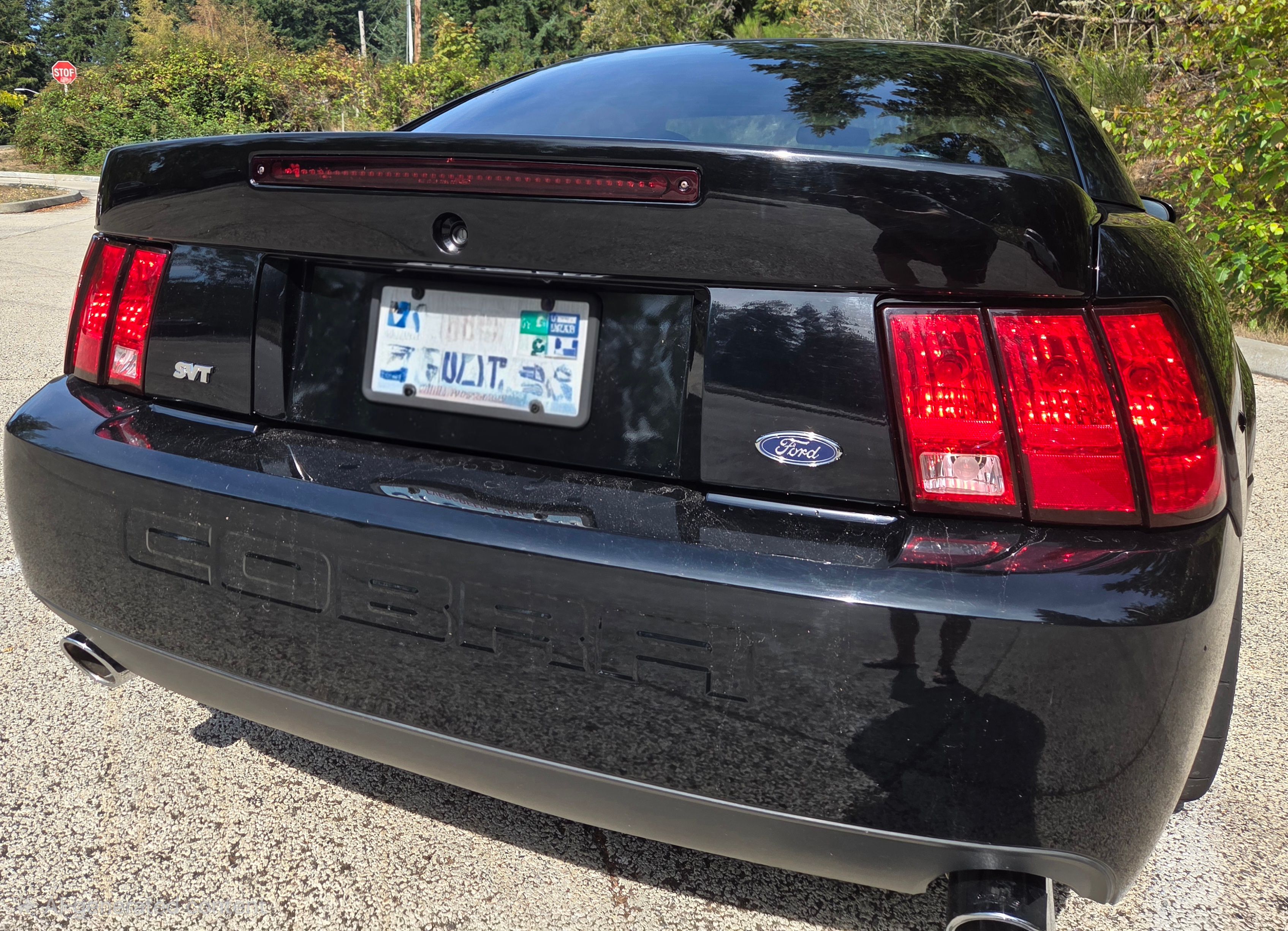 Used 2003 Ford Mustang Cobra RWD image 12