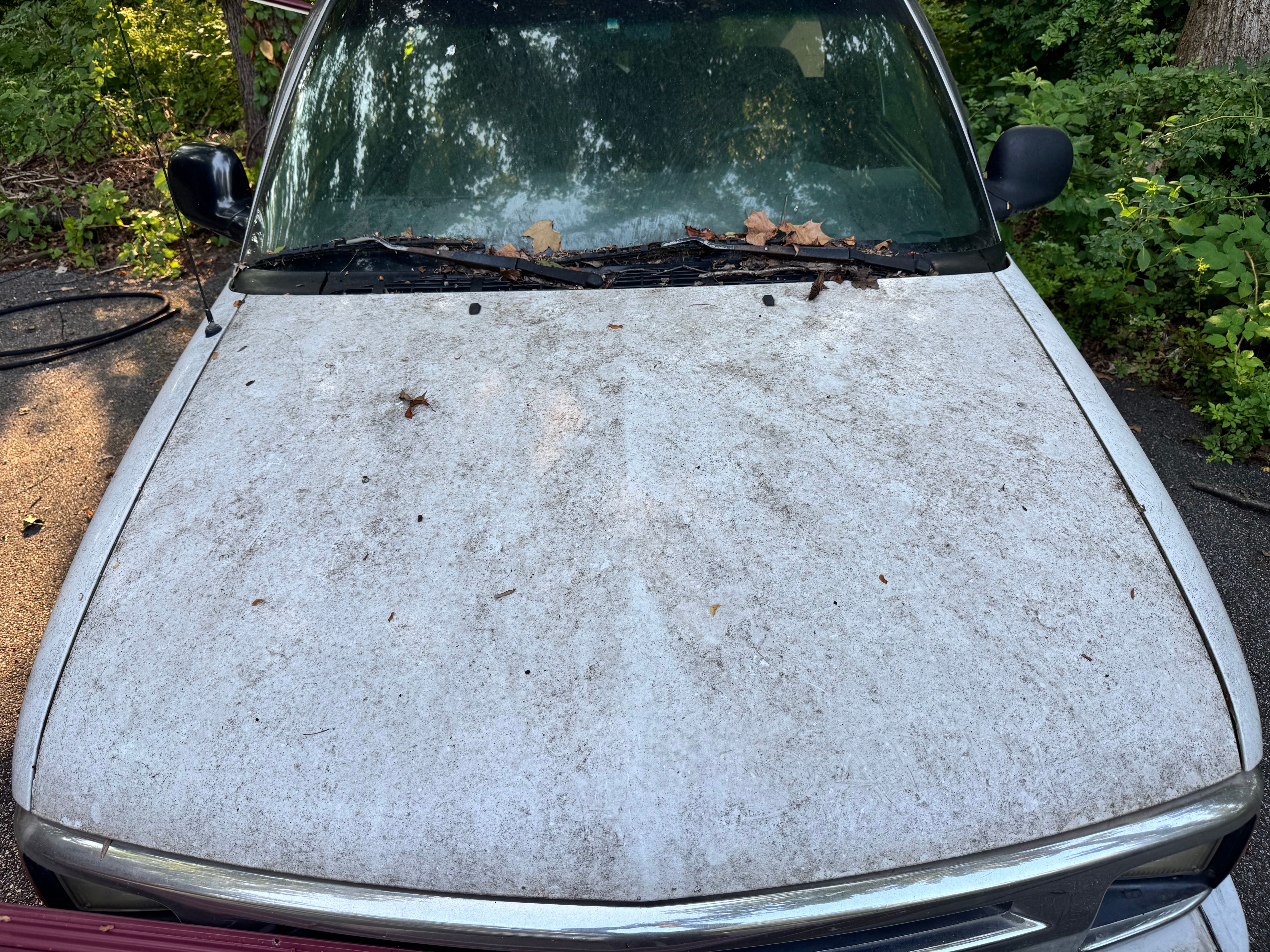 Used 1995 Chevrolet S10 Pickup 2WD Regular Cab image 6