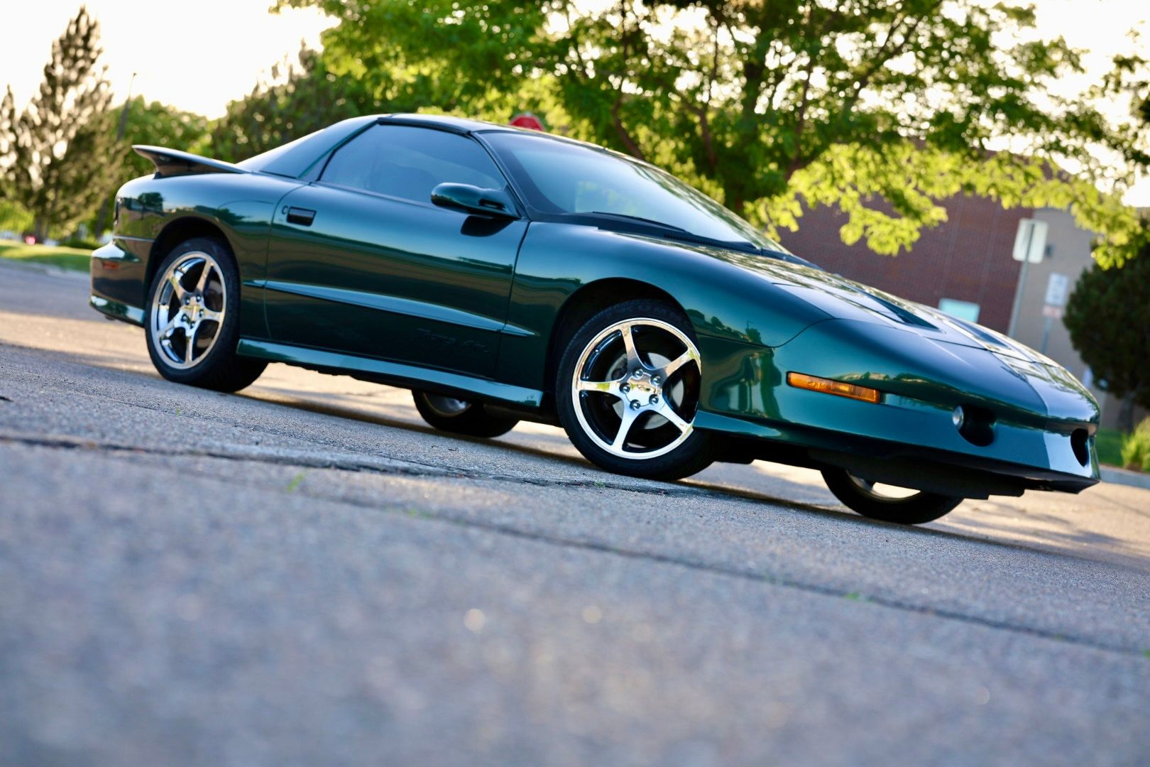 Used 1996 Pontiac Firebird Trans Am RWD image 10