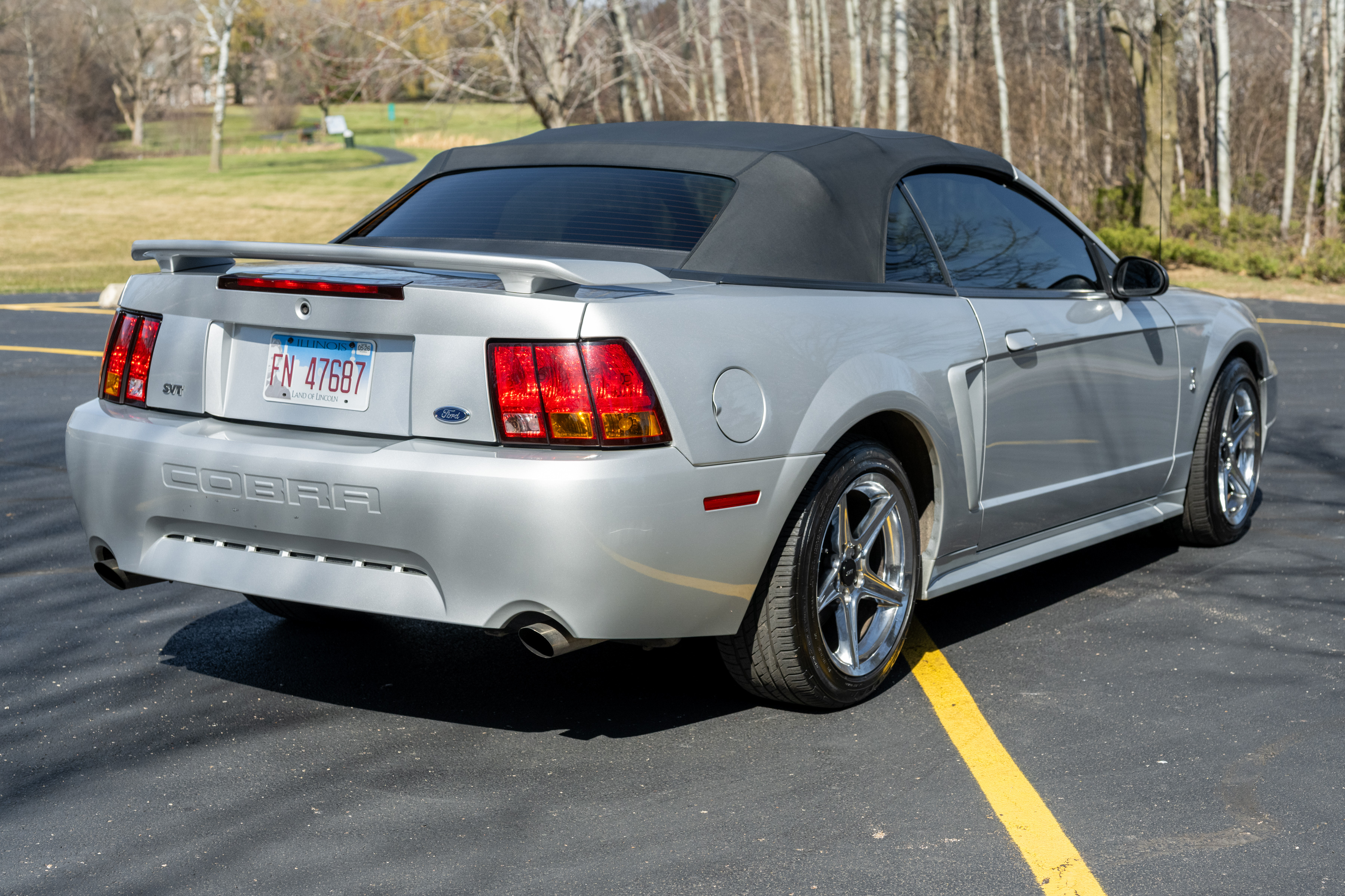 Used 2001 Ford Mustang Cobra RWD image 9