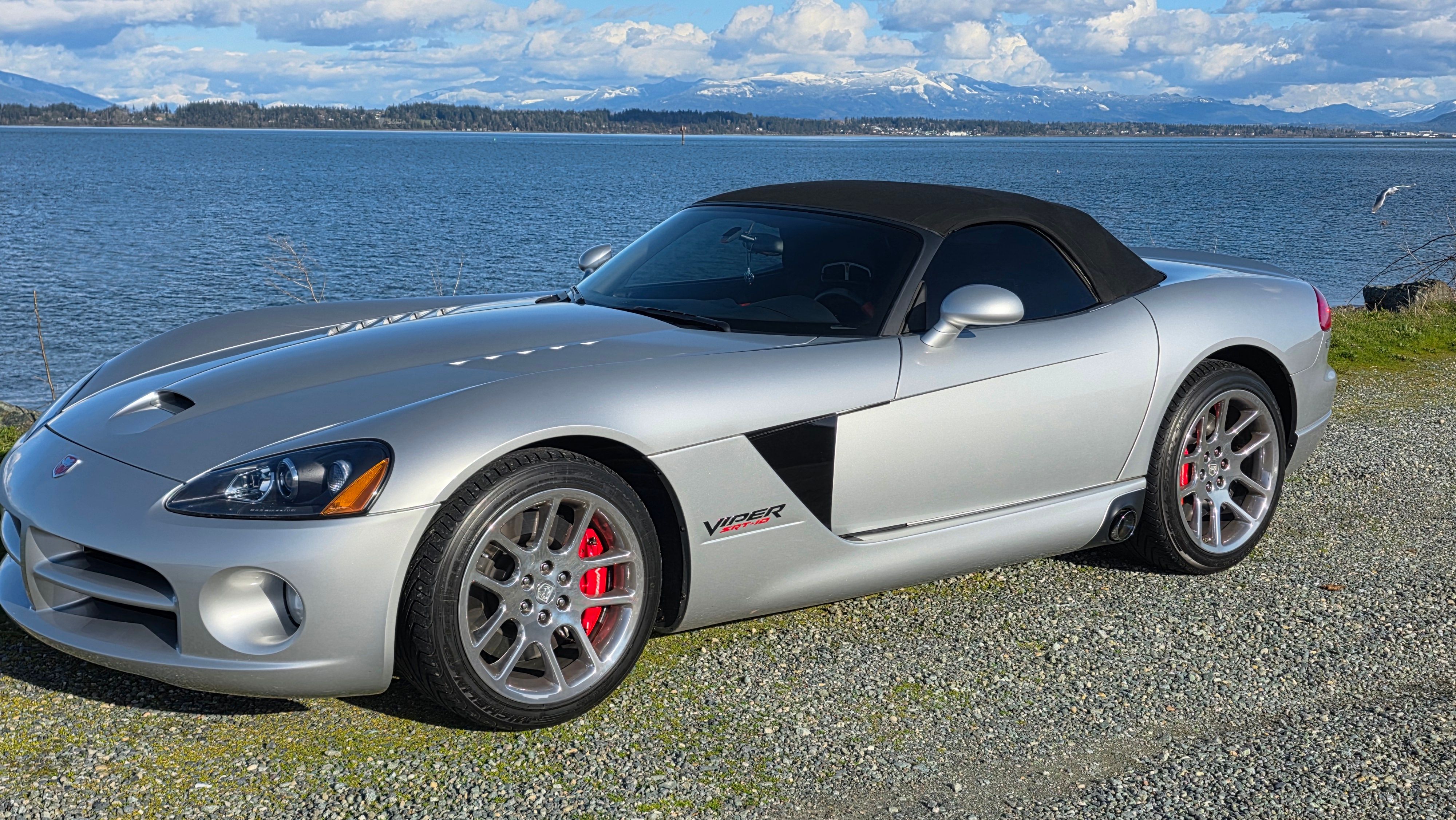 Used 2005 Dodge Viper SRT-10 w/ Mamba Edition Group RWD image 8