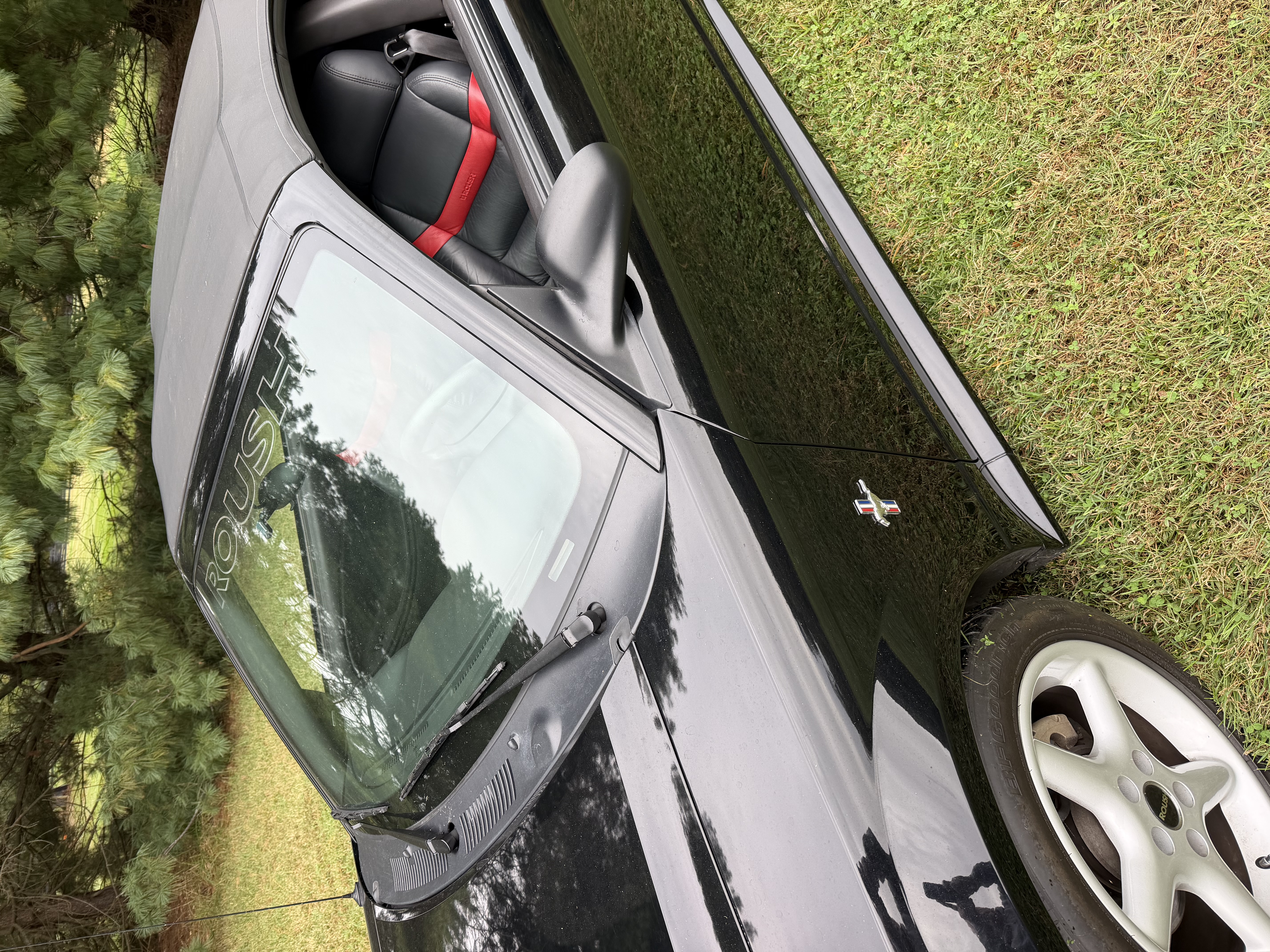 Used 2001 Ford Mustang Premium RWD image 5