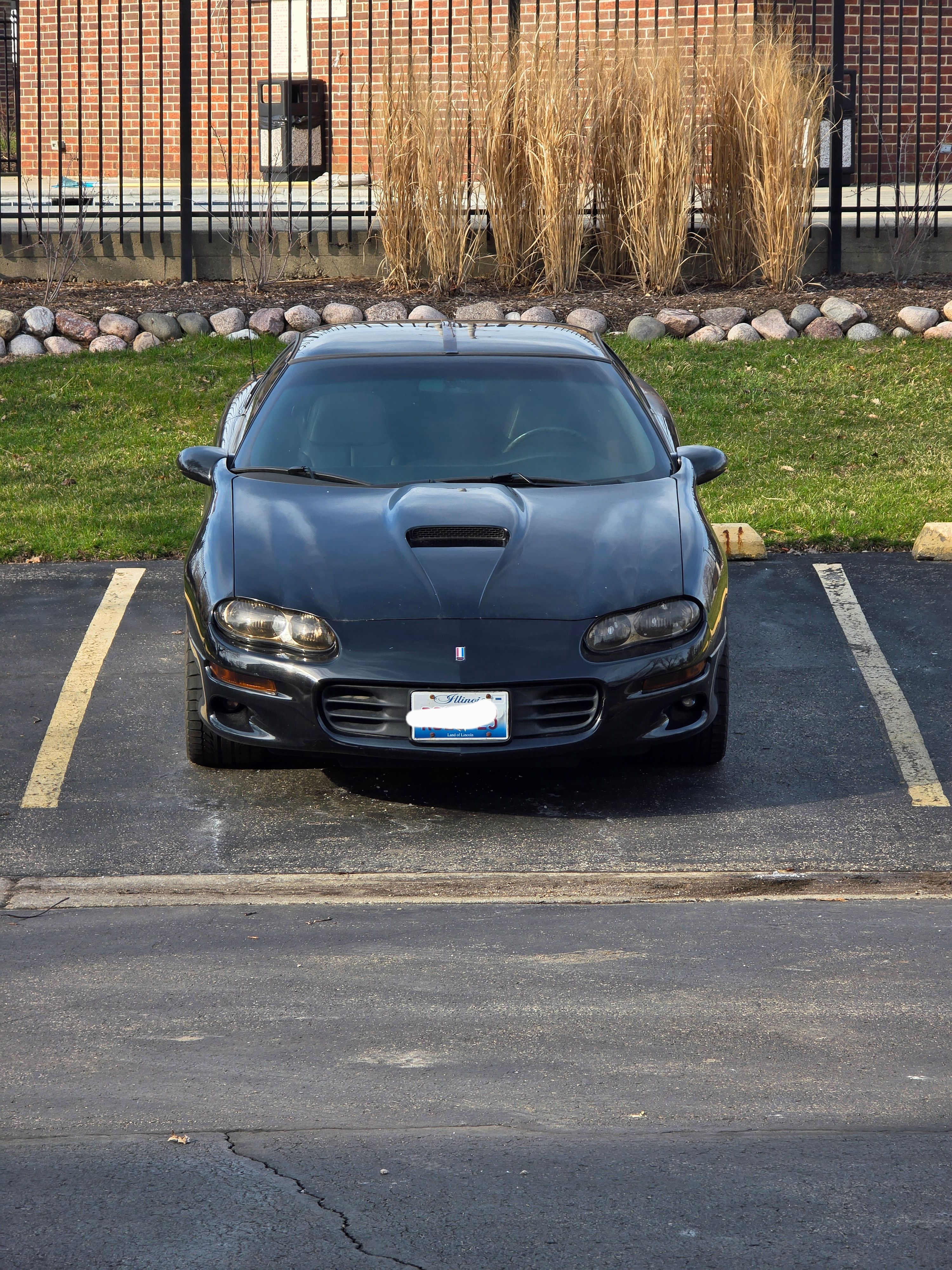 Used 2000 Chevrolet Camaro Z28 w/ SS Performance/Appearance Pkg RWD image 4
