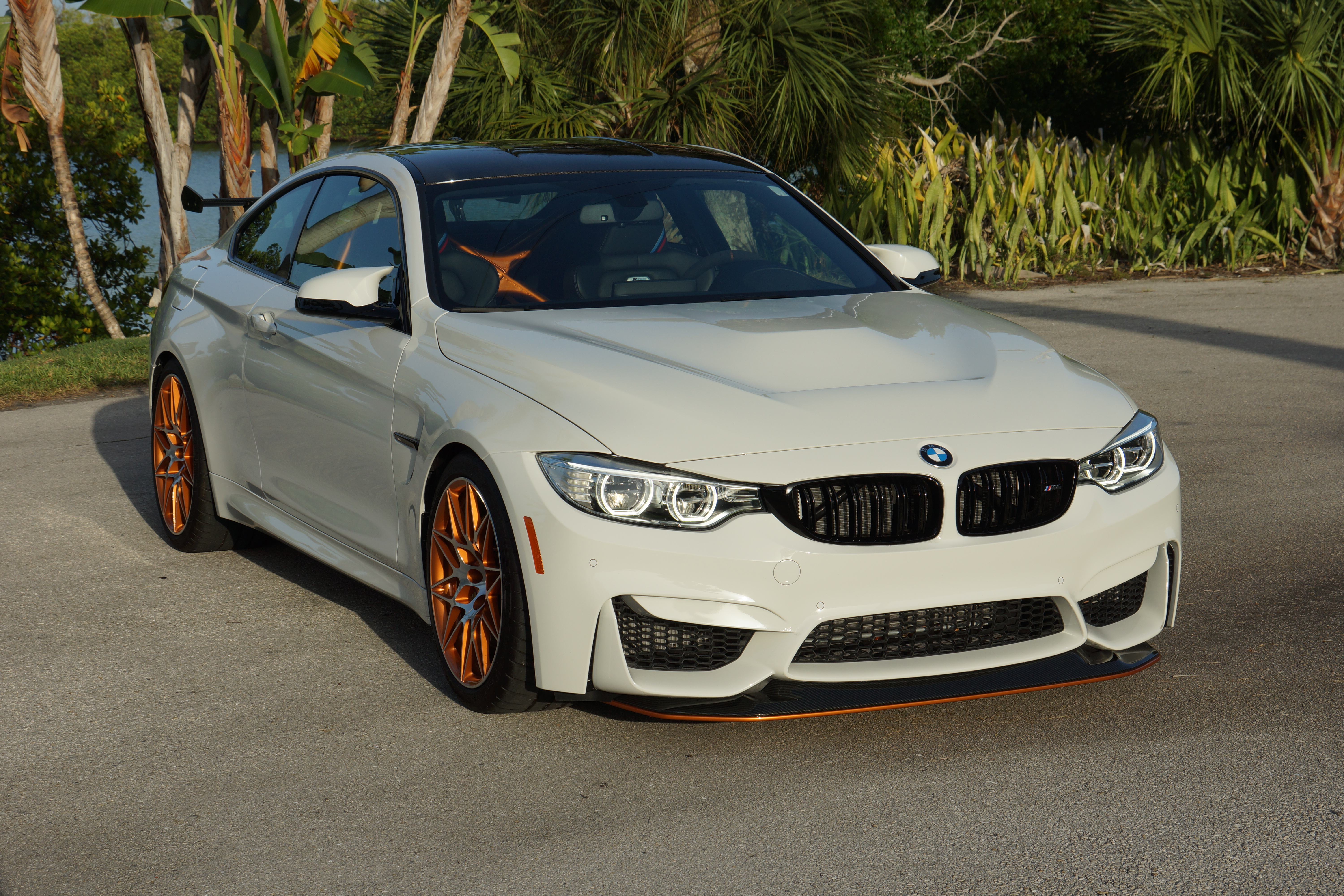 Used 2016 BMW M4 GTS RWD image 1