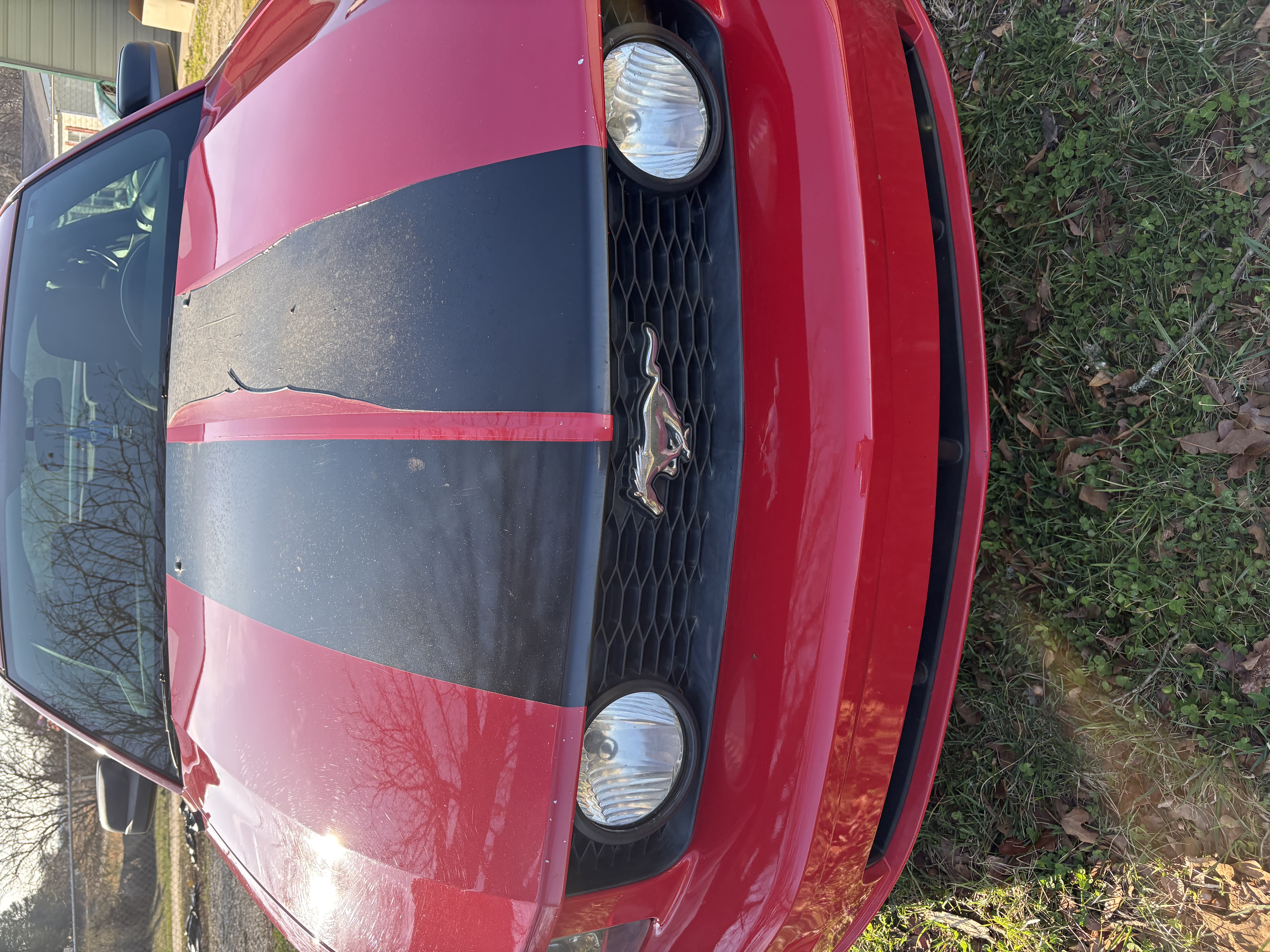 Used 2008 Ford Mustang GT RWD image 4