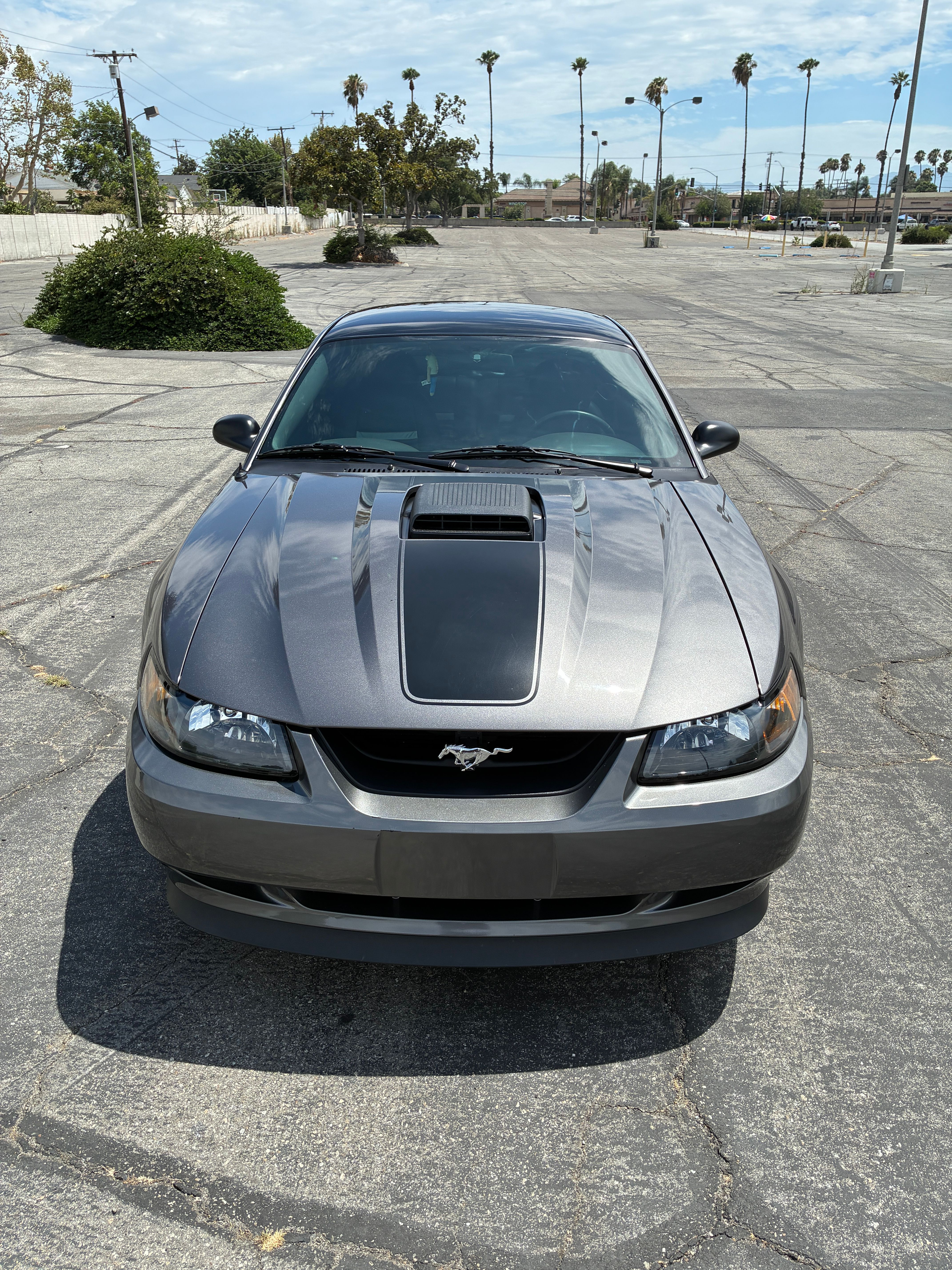 Used 2004 Ford Mustang Mach 1 RWD image 1