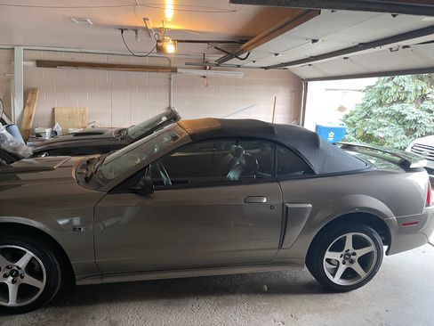 Used 2002 Ford Mustang GT image 5