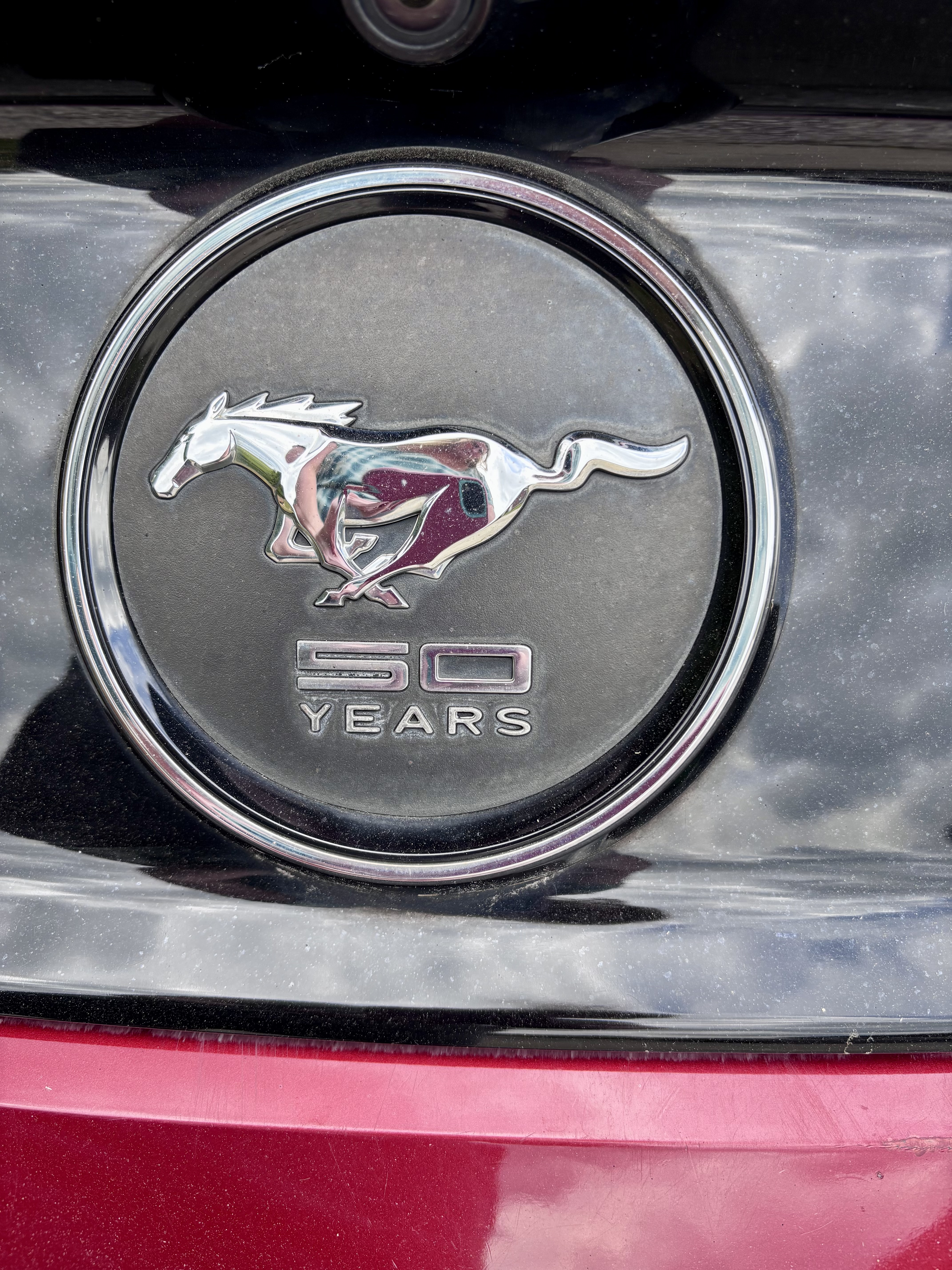 Used 2015 Ford Mustang Premium w/ Equipment Group 201A RWD image 19