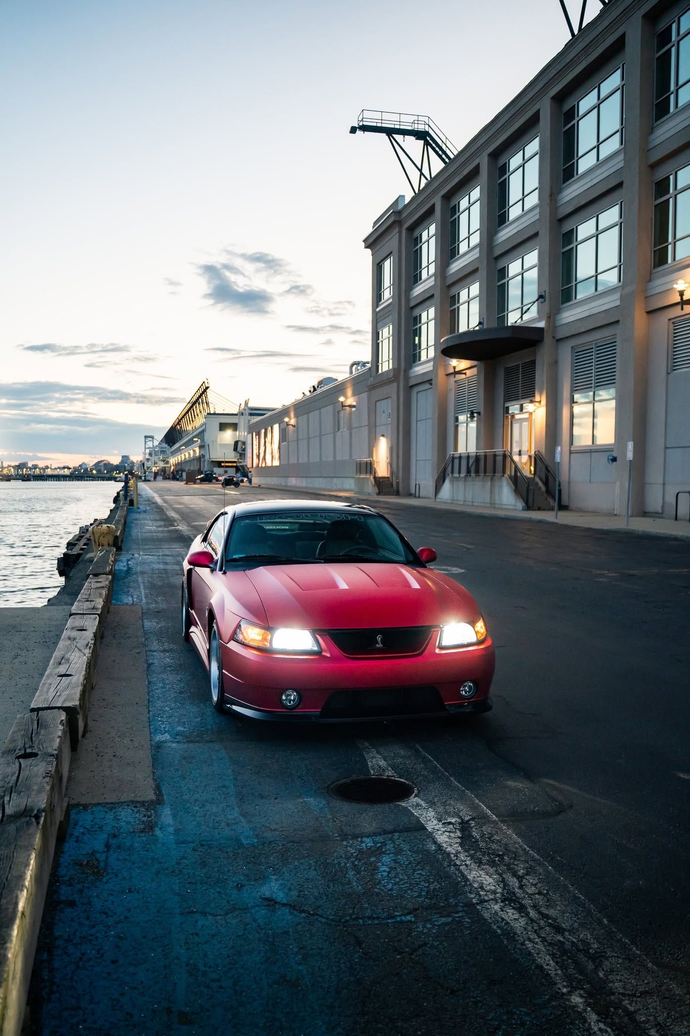 Used 2003 Ford Mustang Cobra RWD image 5