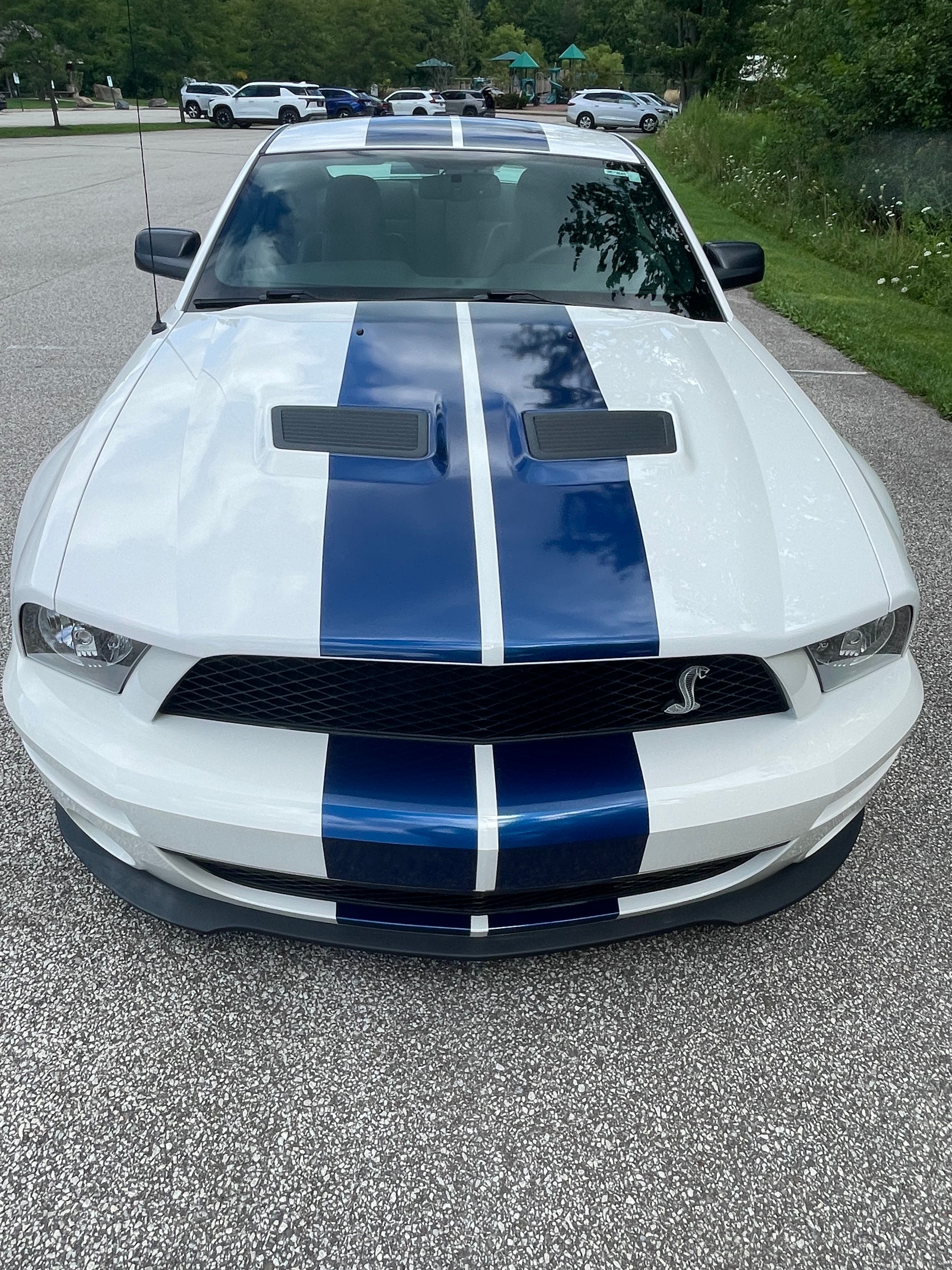 Used 2008 Ford Mustang Shelby GT500 RWD image 9