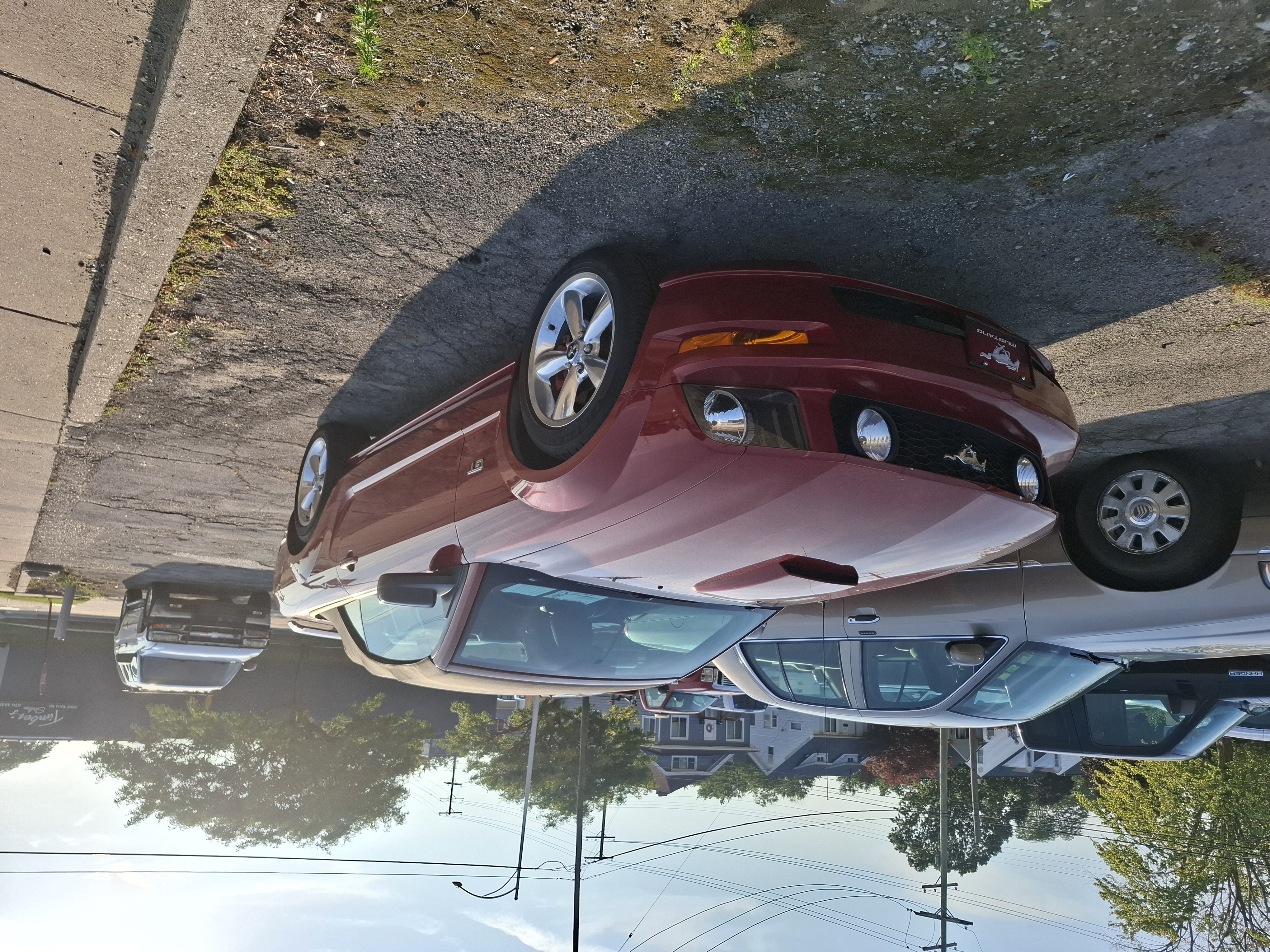 Used 2008 Ford Mustang GT Premium RWD image 6