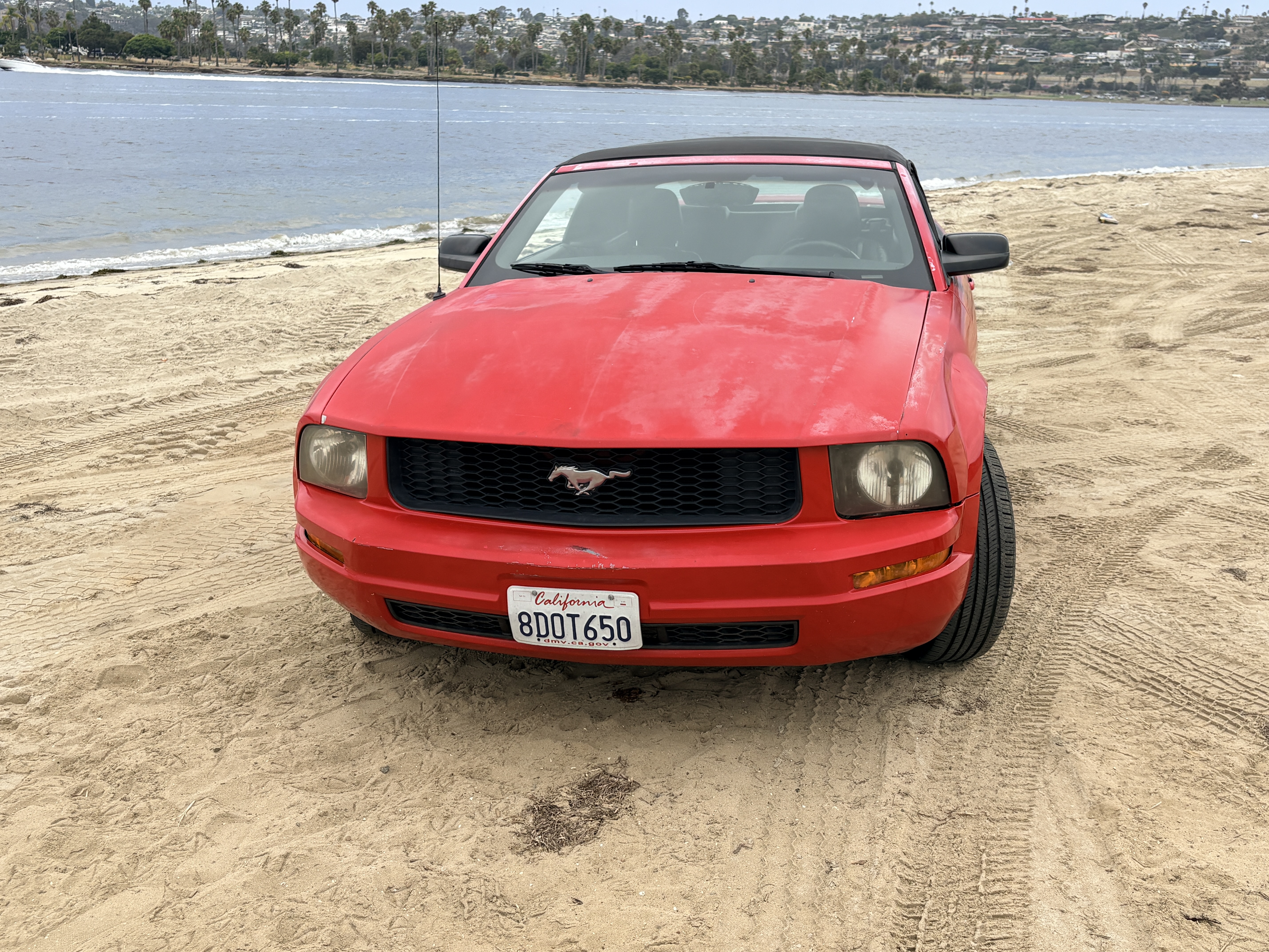 Used 2006 Ford Mustang Convertible RWD image 5