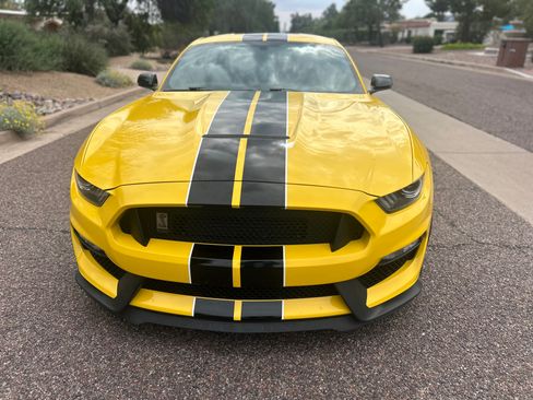 Used 2016 Ford Mustang Shelby GT350 w/ Technology Package image 1