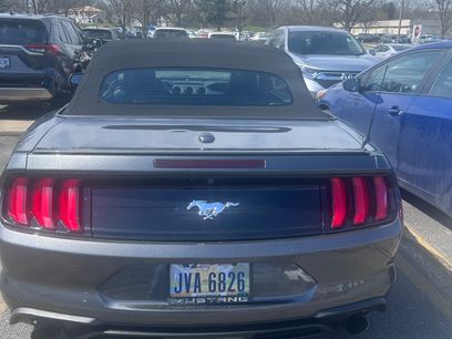 Used 2019 Ford Mustang Premium w/ Equipment Group 201A