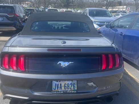 Used 2019 Ford Mustang Premium w/ Equipment Group 201A image 1