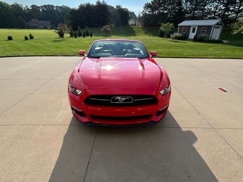 Used 2015 Ford Mustang Premium w/ 50 Years Appearance Package RWD image 10