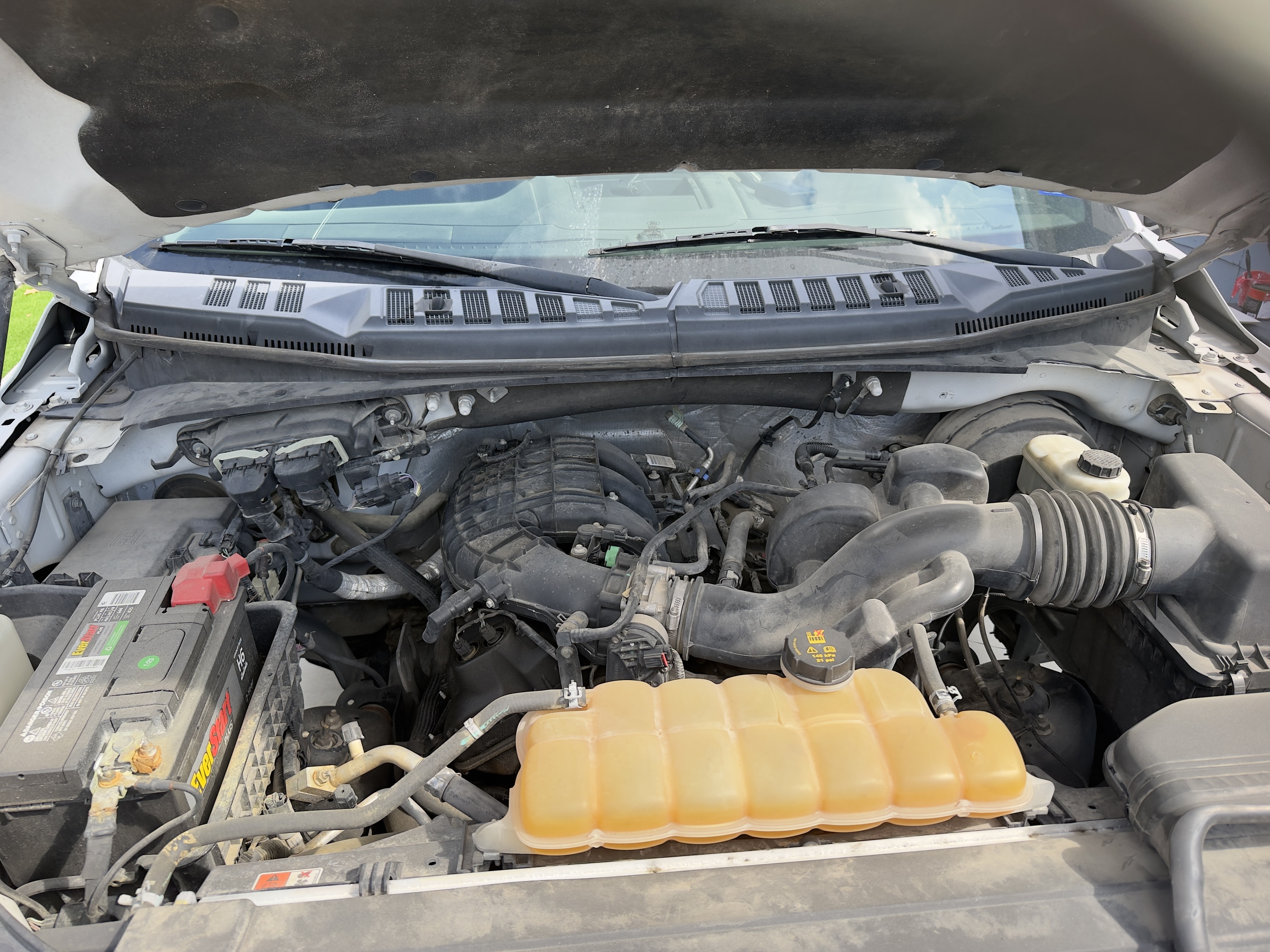 Used 2015 Ford F150 XLT w/ Equipment Group 301A Mid RWD image 10