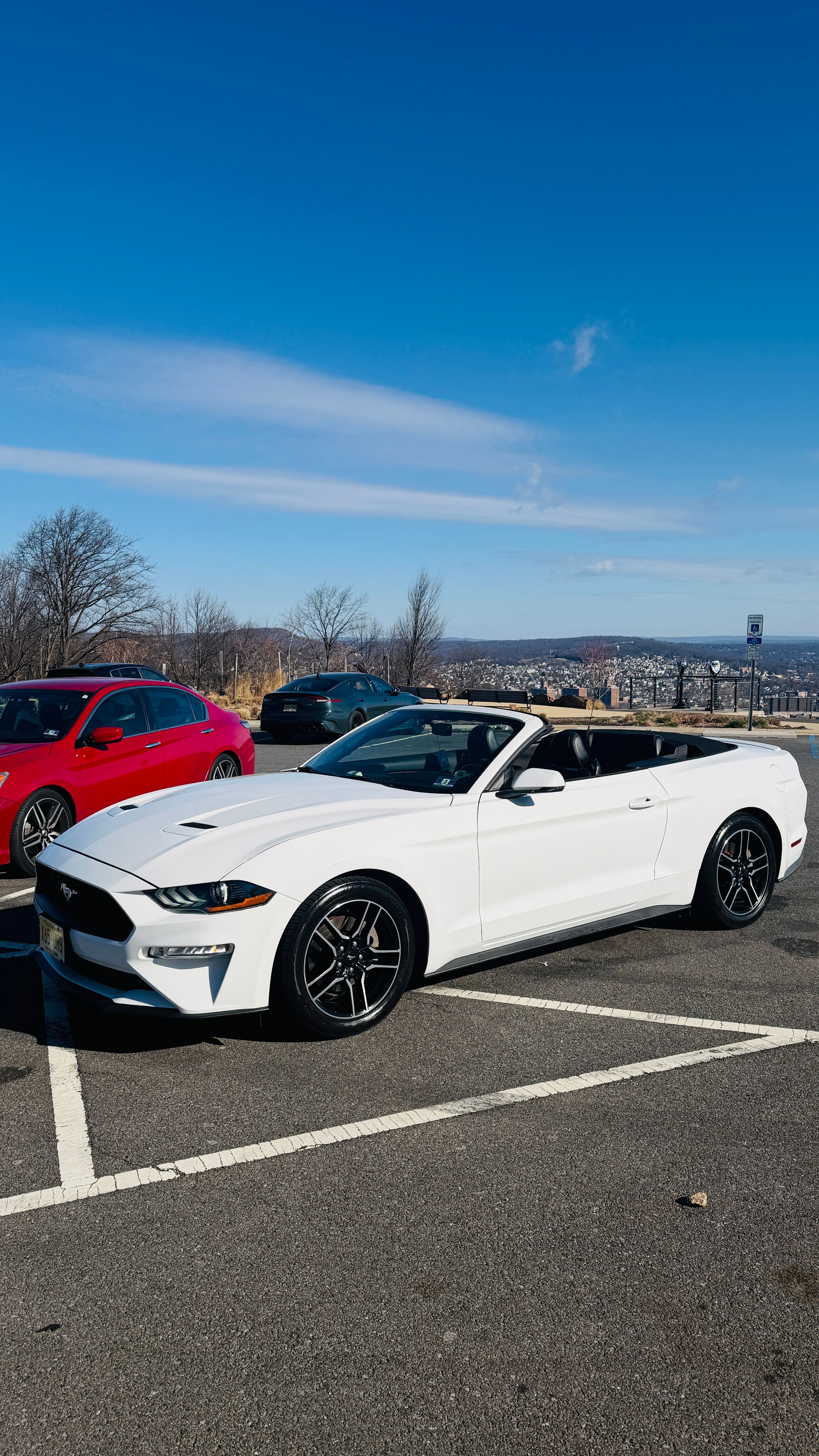 Used 2019 Ford Mustang Premium RWD image 15