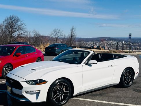 Used 2019 Ford Mustang Premium image 15