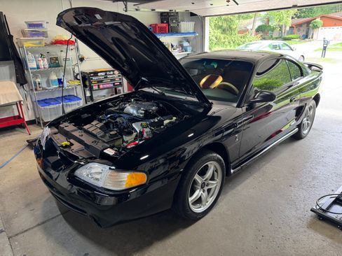 Used 1998 Ford Mustang Cobra image 5