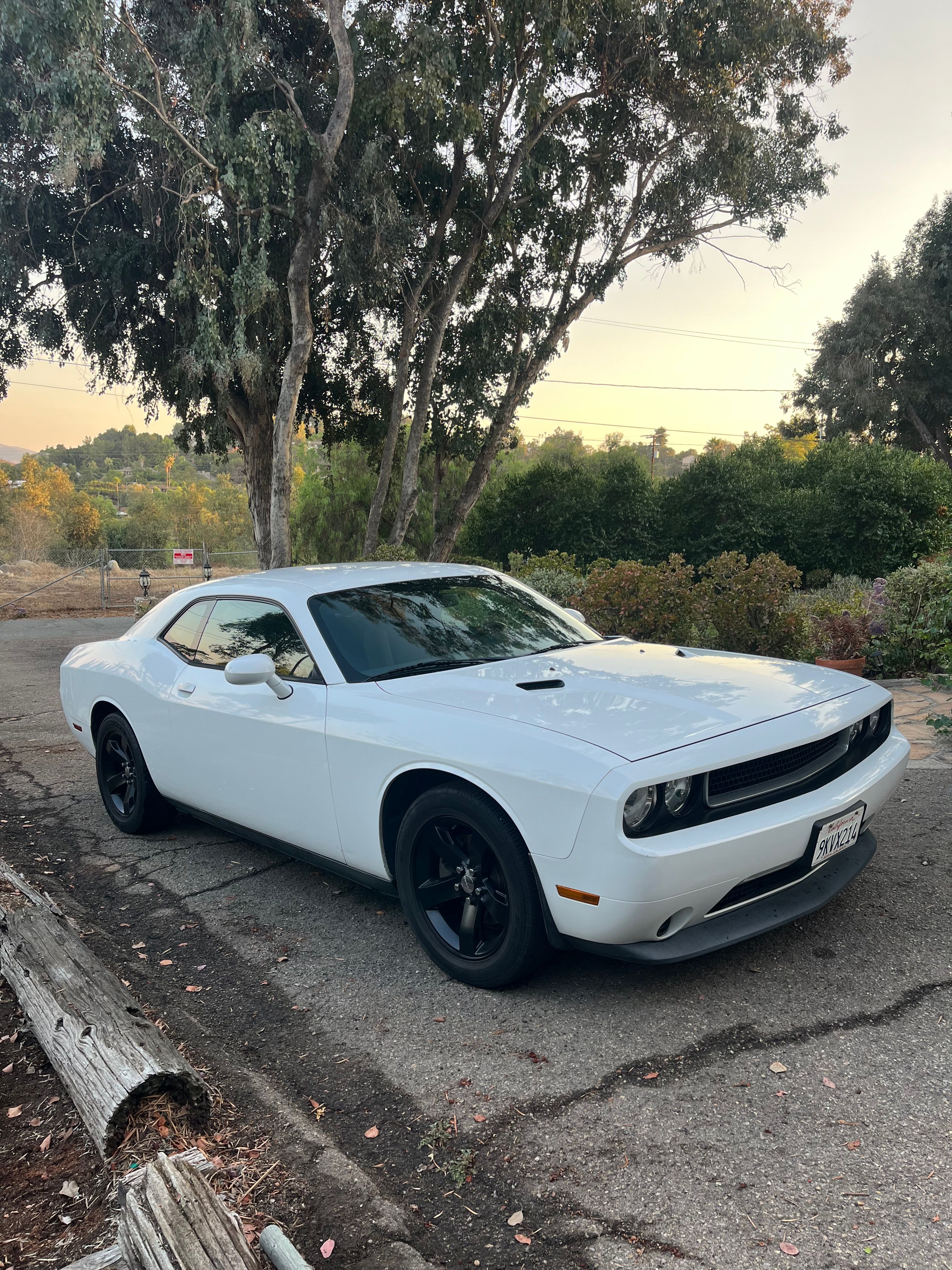 Used 2012 Dodge Challenger SXT RWD image 2