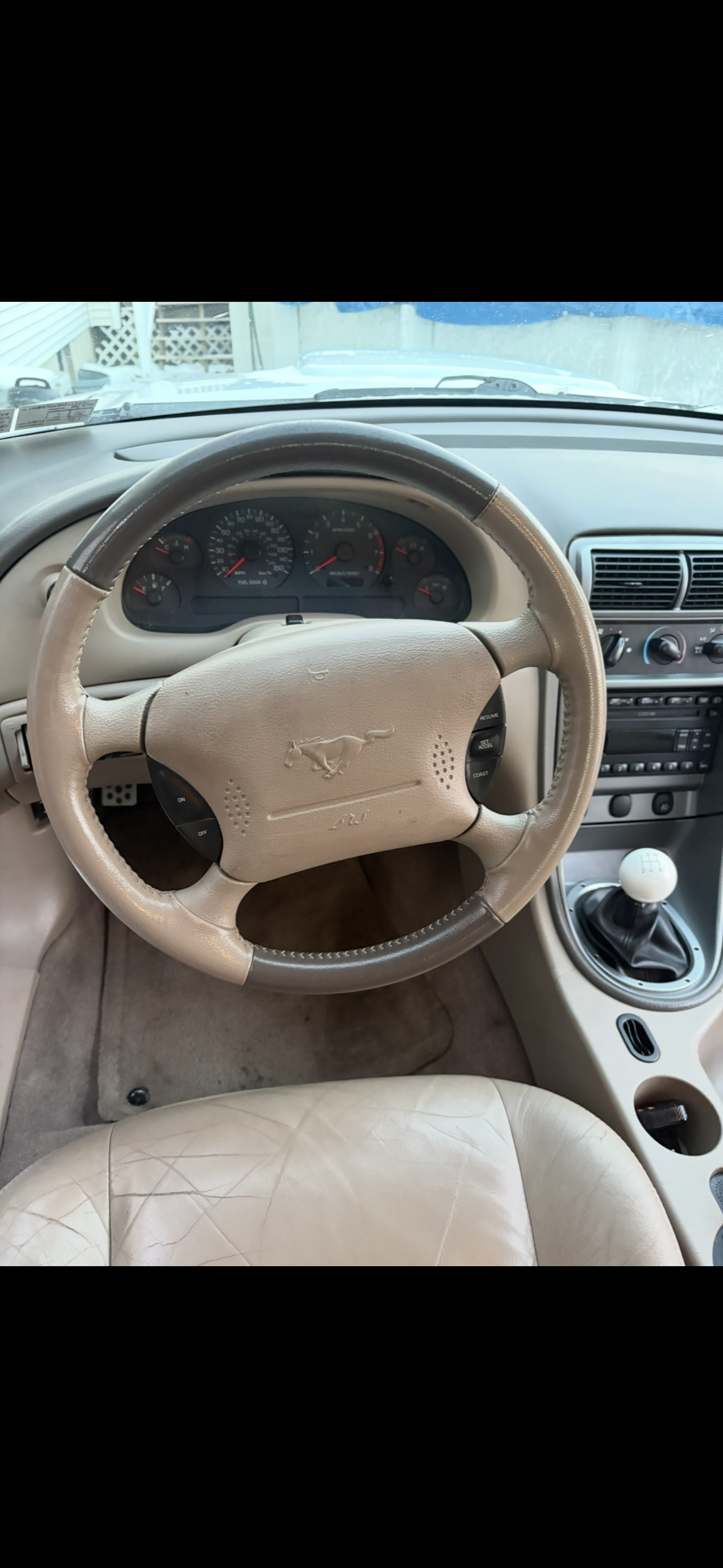 Used 2004 Ford Mustang GT Premium RWD image 12