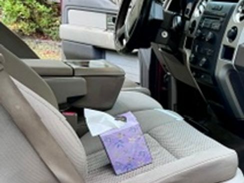 Used 2010 Ford F150 XLT RWD image 11