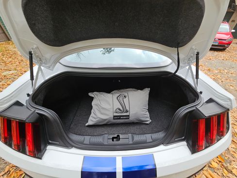 Used 2016 Ford Mustang Shelby GT350 w/ Track Package image 12