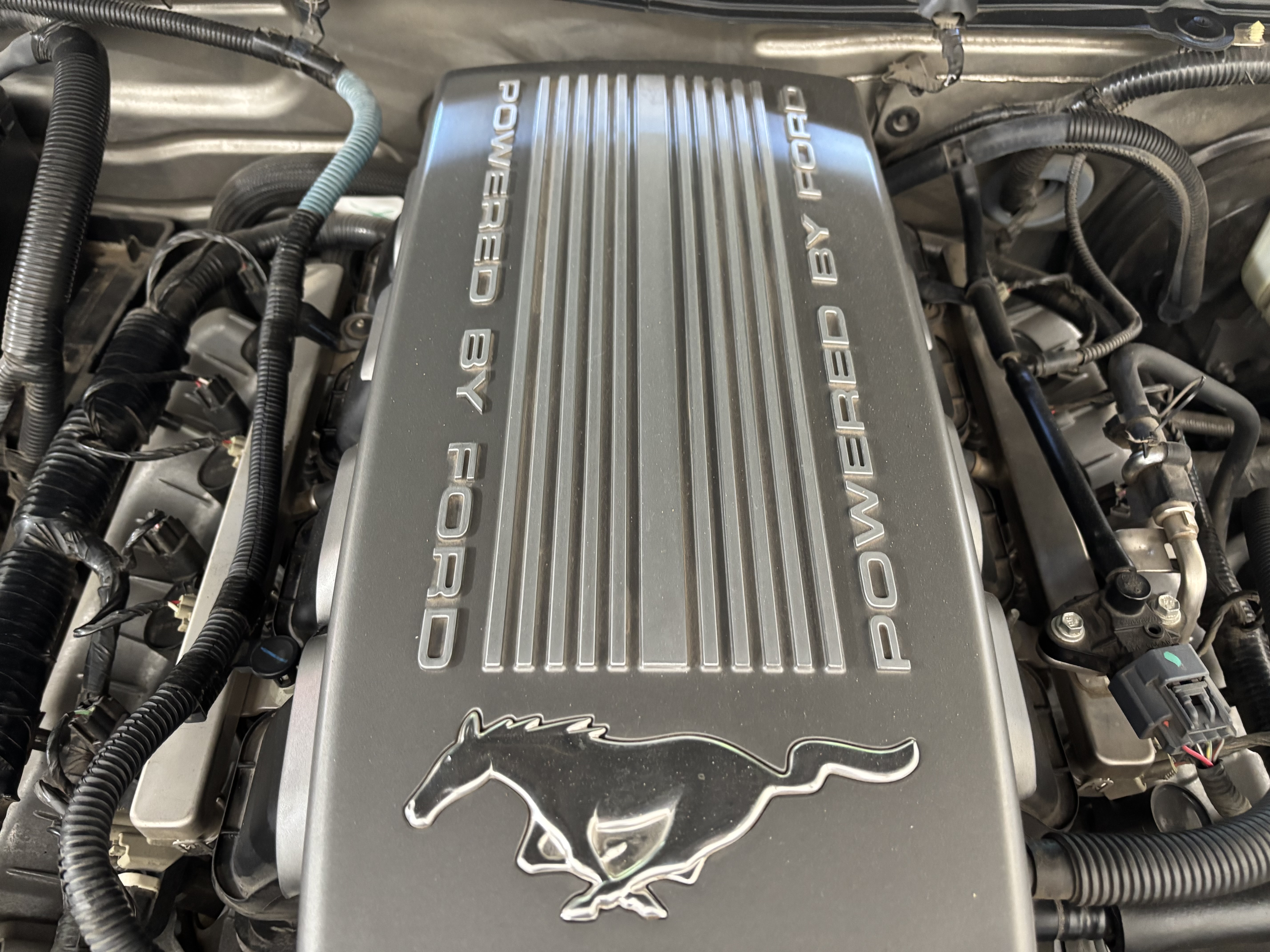 Used 2008 Ford Mustang GT Premium RWD image 11
