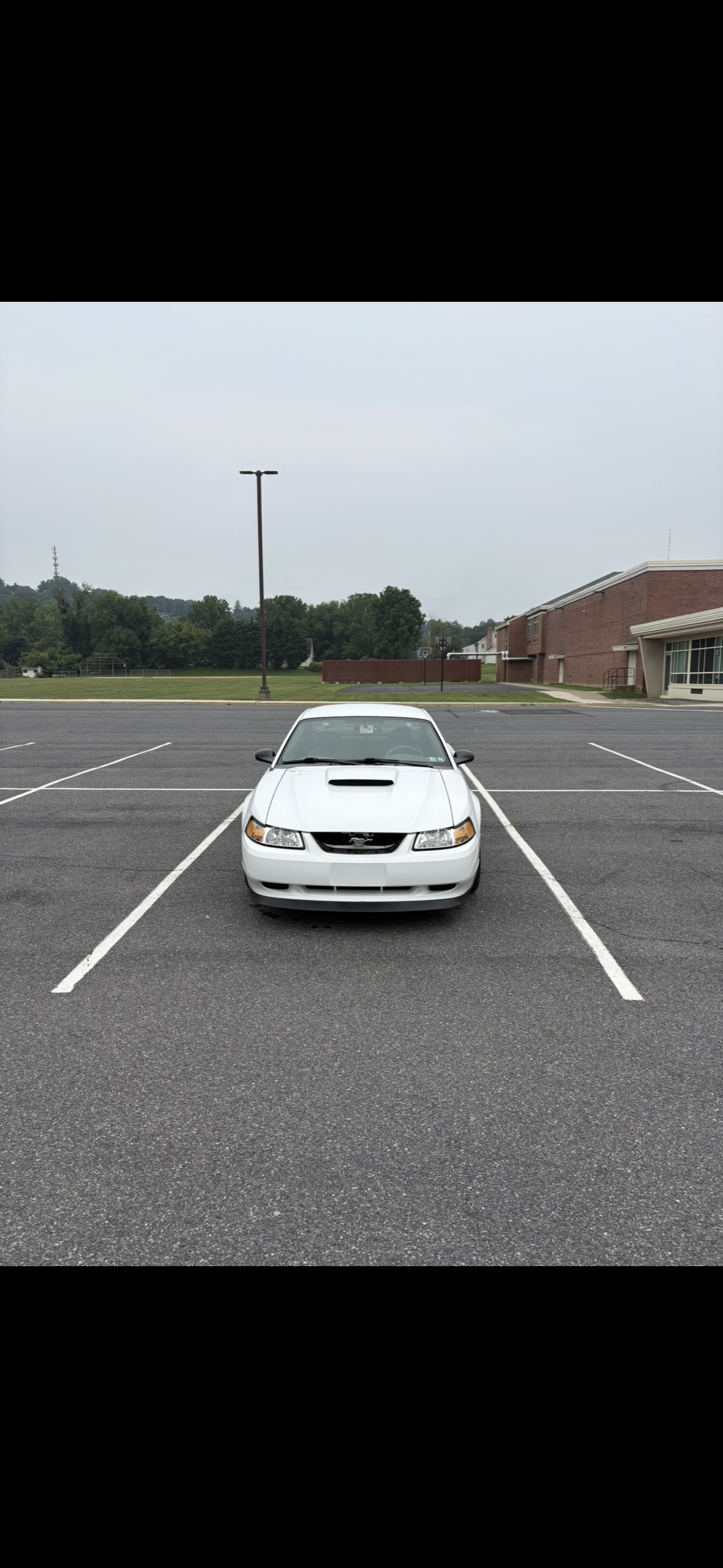 Used 2004 Ford Mustang GT Premium RWD image 2