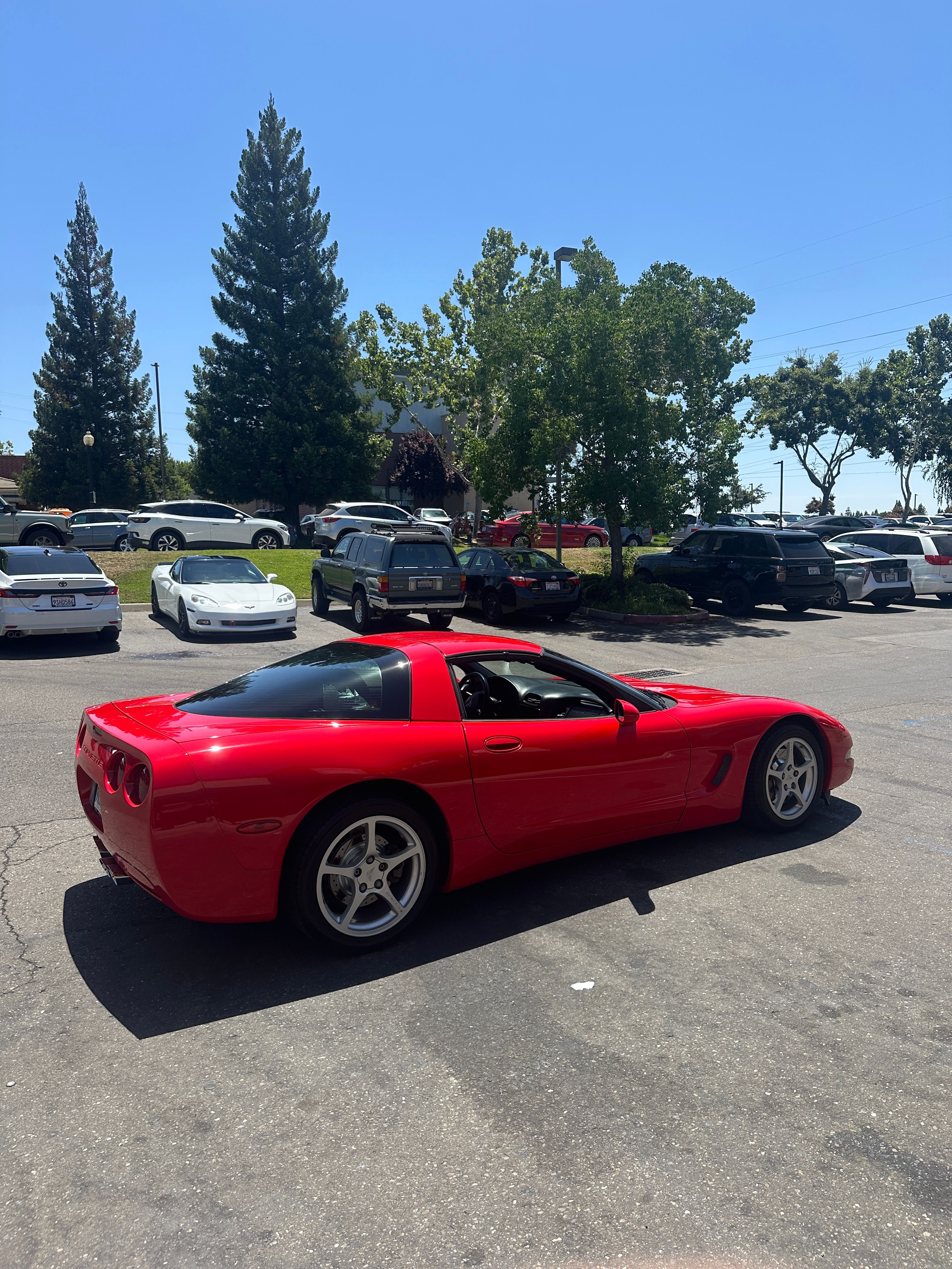 Used 2000 Chevrolet Corvette Coupe w/ Memory Pkg RWD image 2