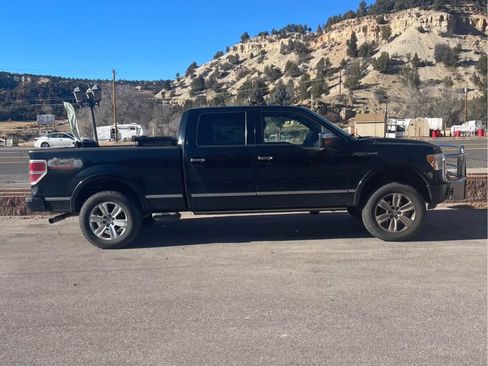 Used 2009 Ford F150 Platinum image 2