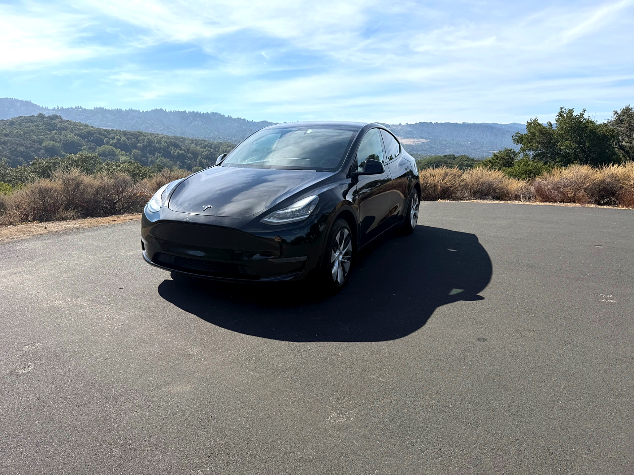 Used 2020 Tesla Model Y Long Range AWD/4WD image 1