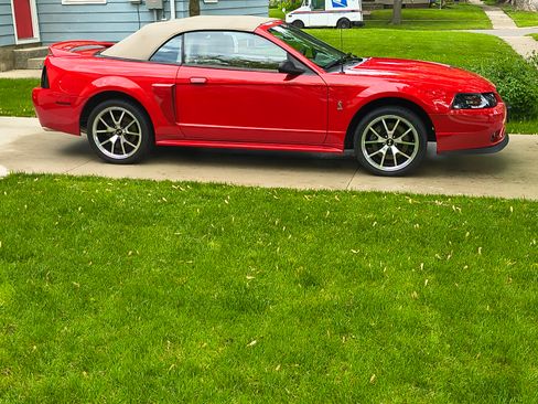 Used 1999 Ford Mustang Cobra RWD image 10