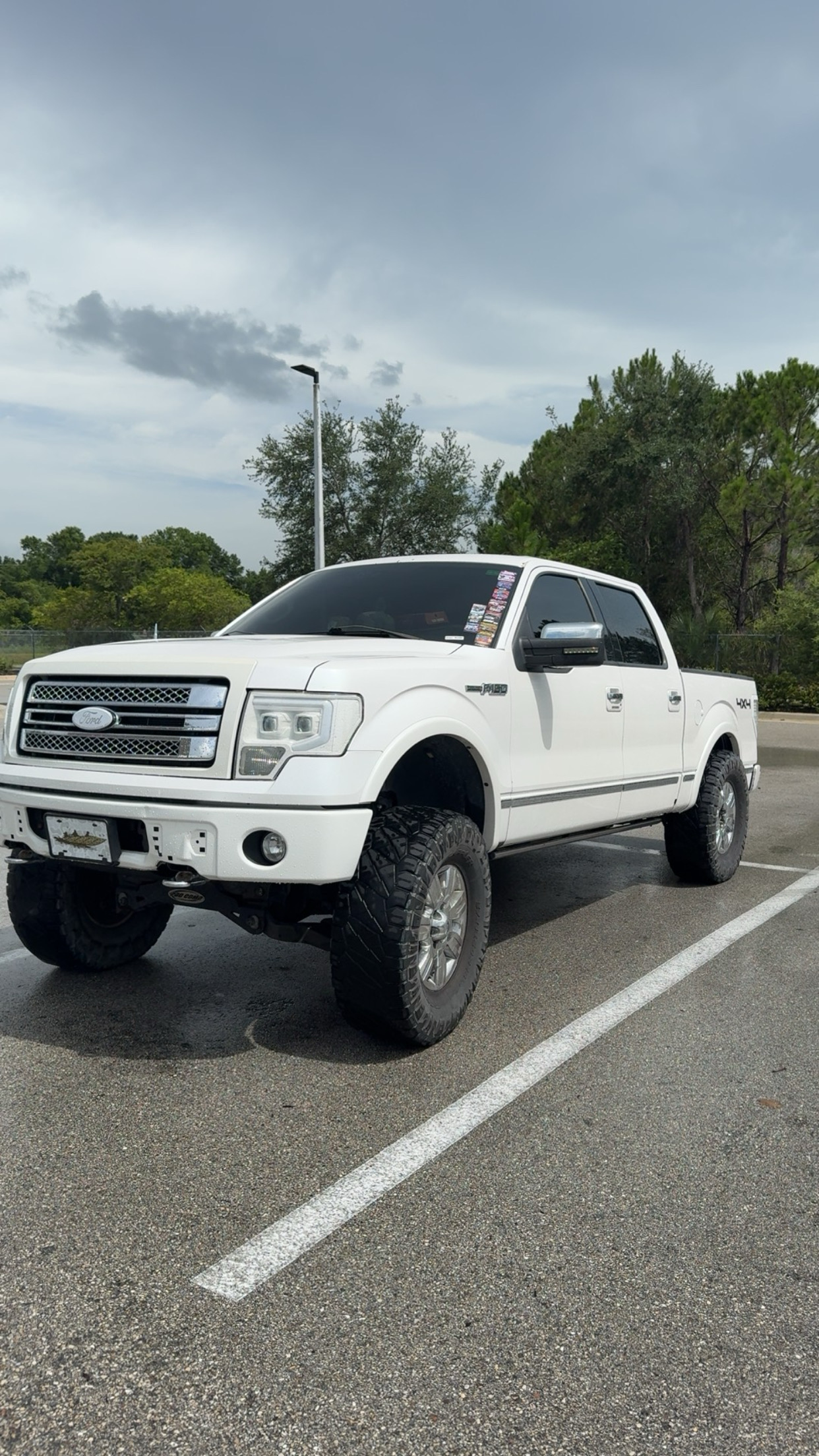 Used 2010 Ford F150 Platinum AWD/4WD image 8