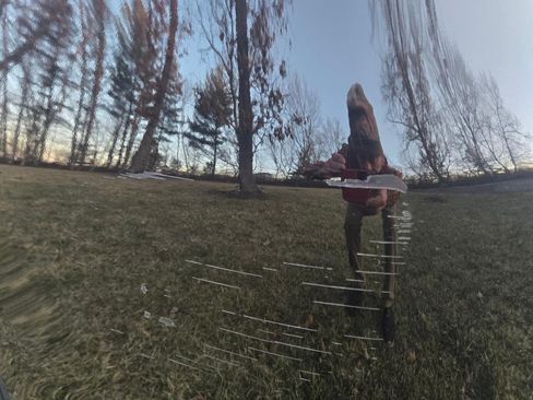 Used 2011 Honda Insight LX image 21