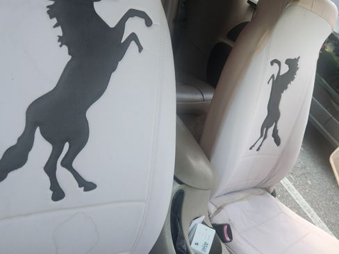 Used 2002 Ford Mustang Deluxe Convertible image 8