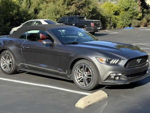 Used 2015 Ford Mustang Premium w/ Equipment Group 201A image 13