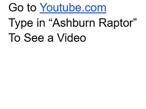 Used 2014 Ford F150 Raptor w/ Equipment Group 801A Luxury image 6