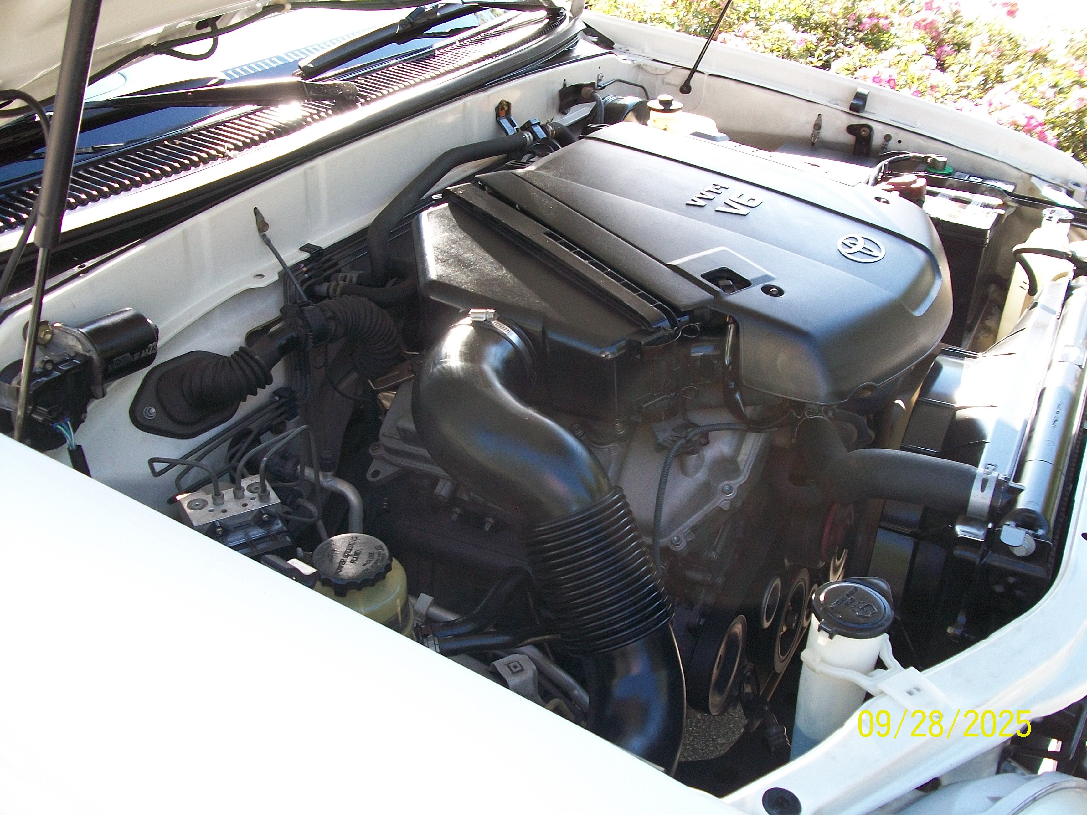 Used 2005 Toyota Tundra 2WD Regular Cab image 14