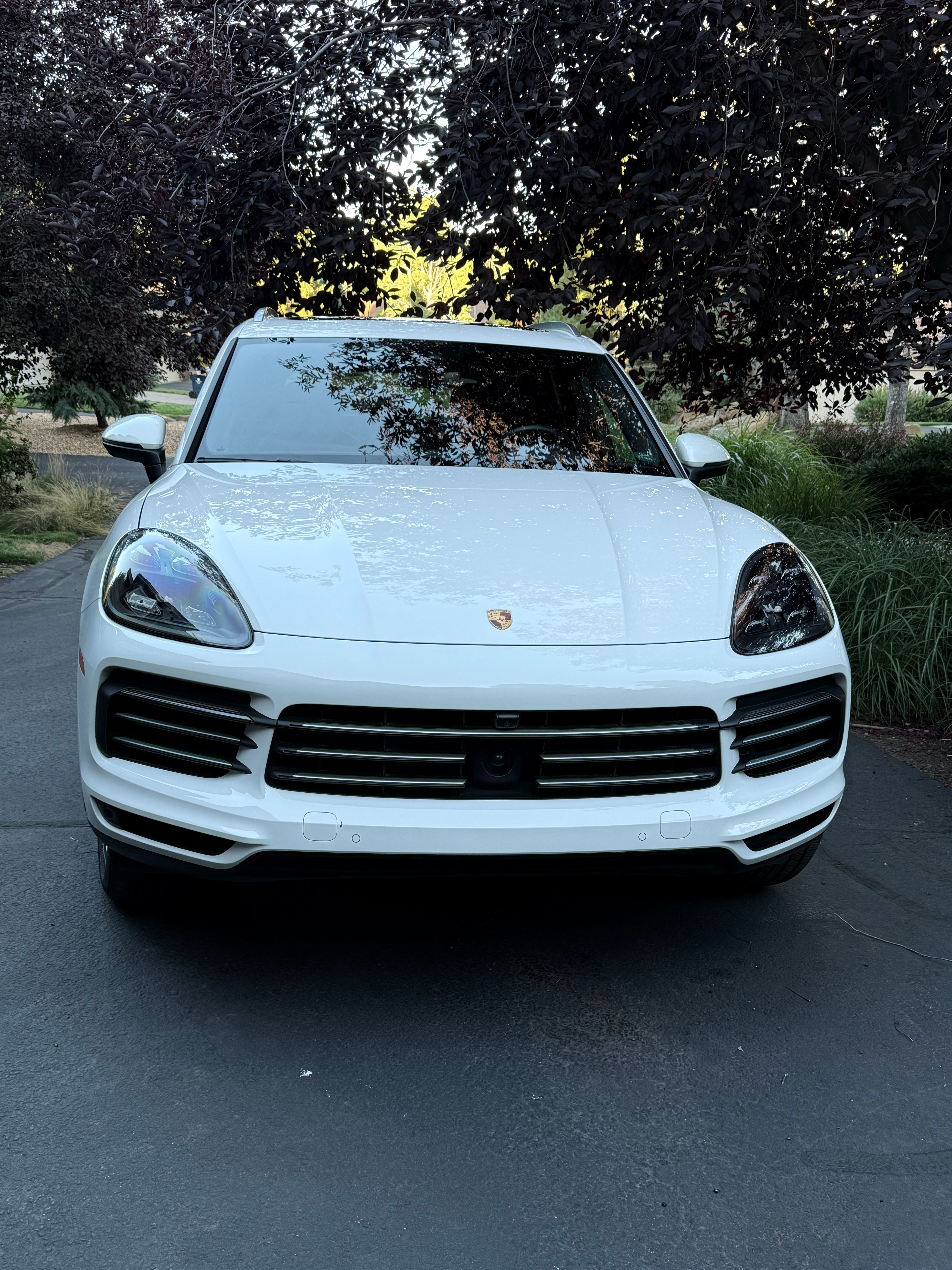 Used 2019 Porsche Cayenne E-Hybrid AWD/4WD image 8