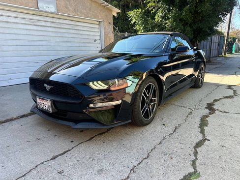 Used 2021 Ford Mustang Premium image 1