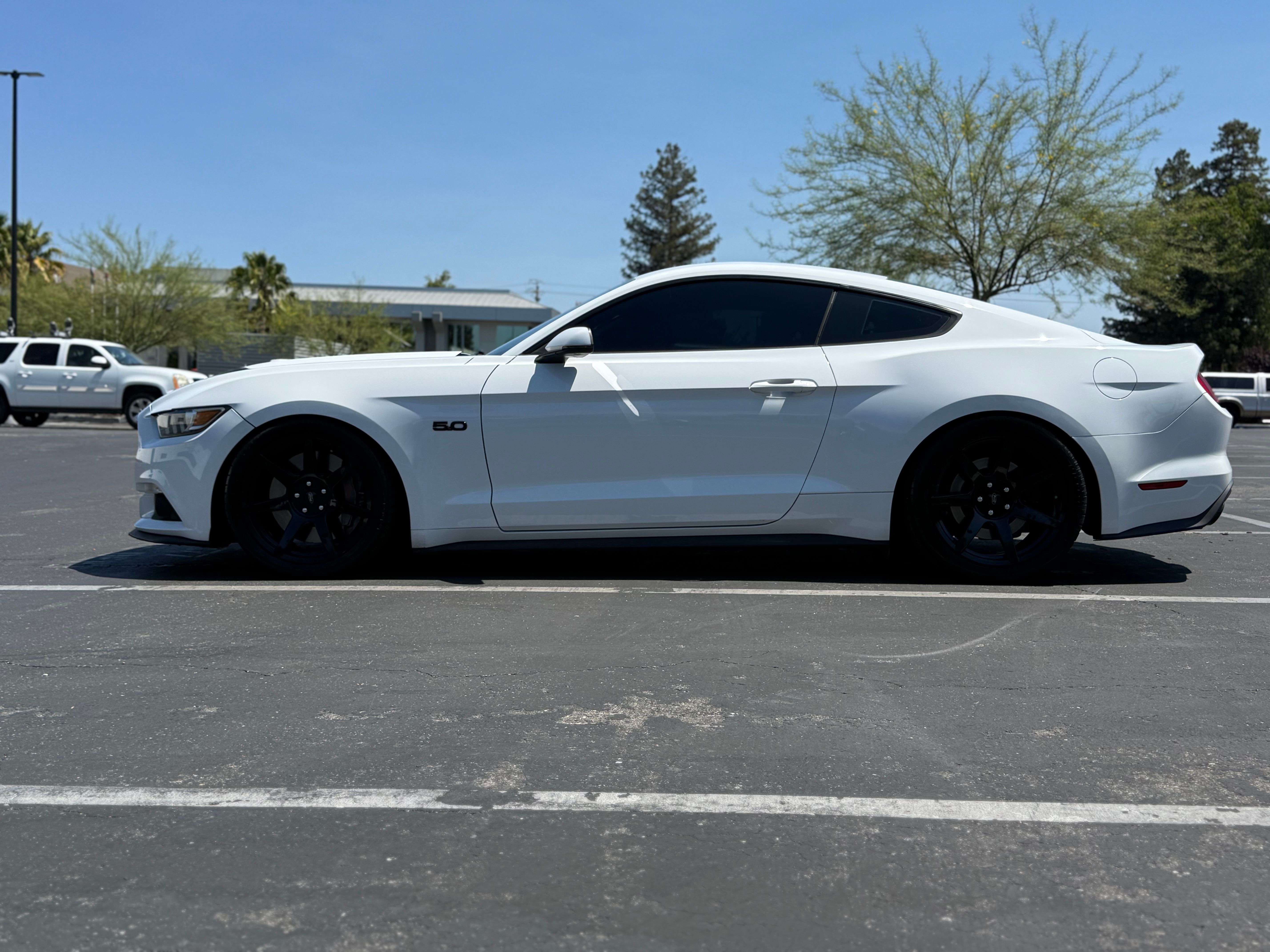 Used 2015 Ford Mustang GT Premium w/ GT Performance Package RWD image 8
